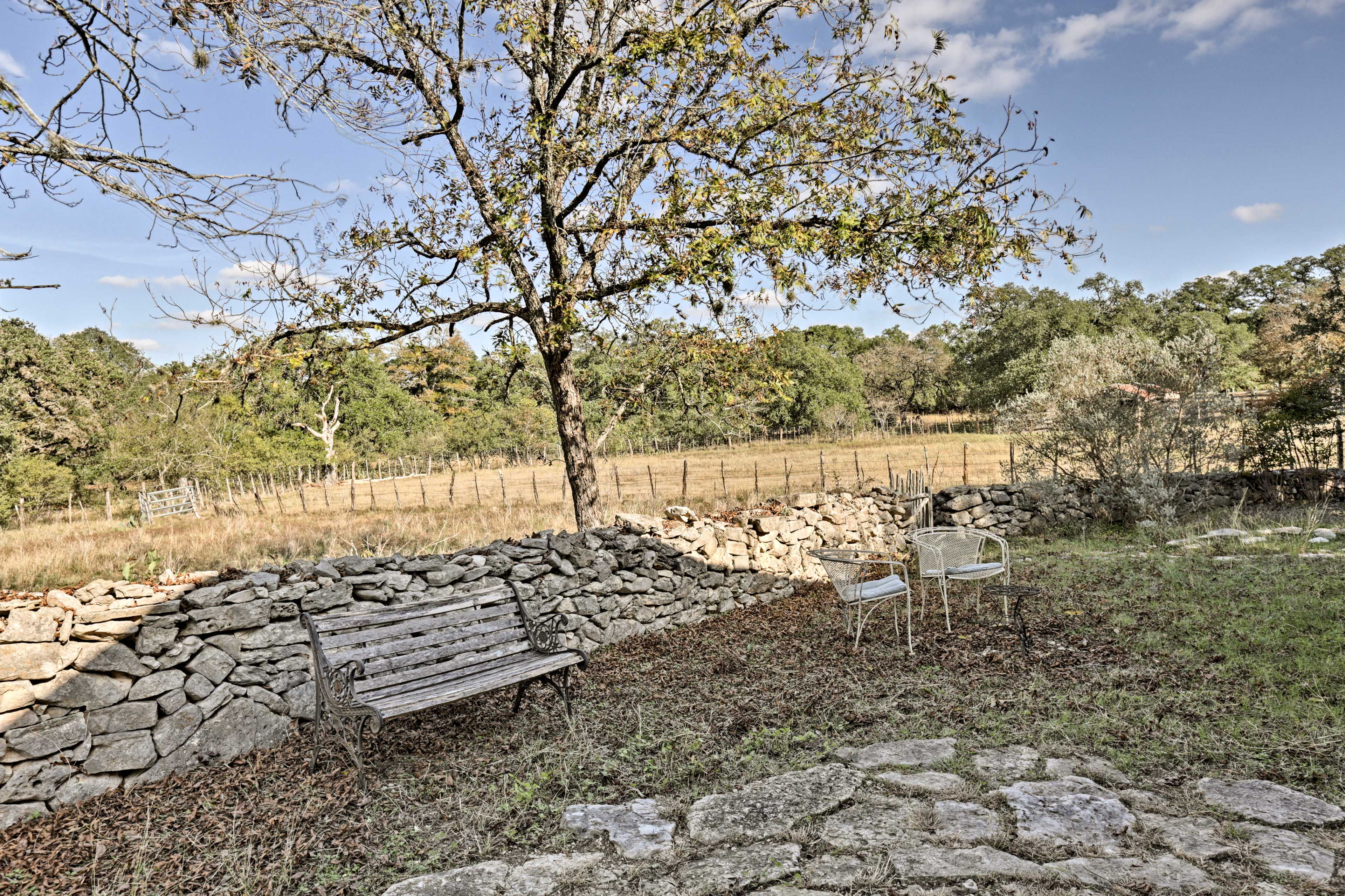 Bring the binoculars to get a closer look at the property's wildlife!