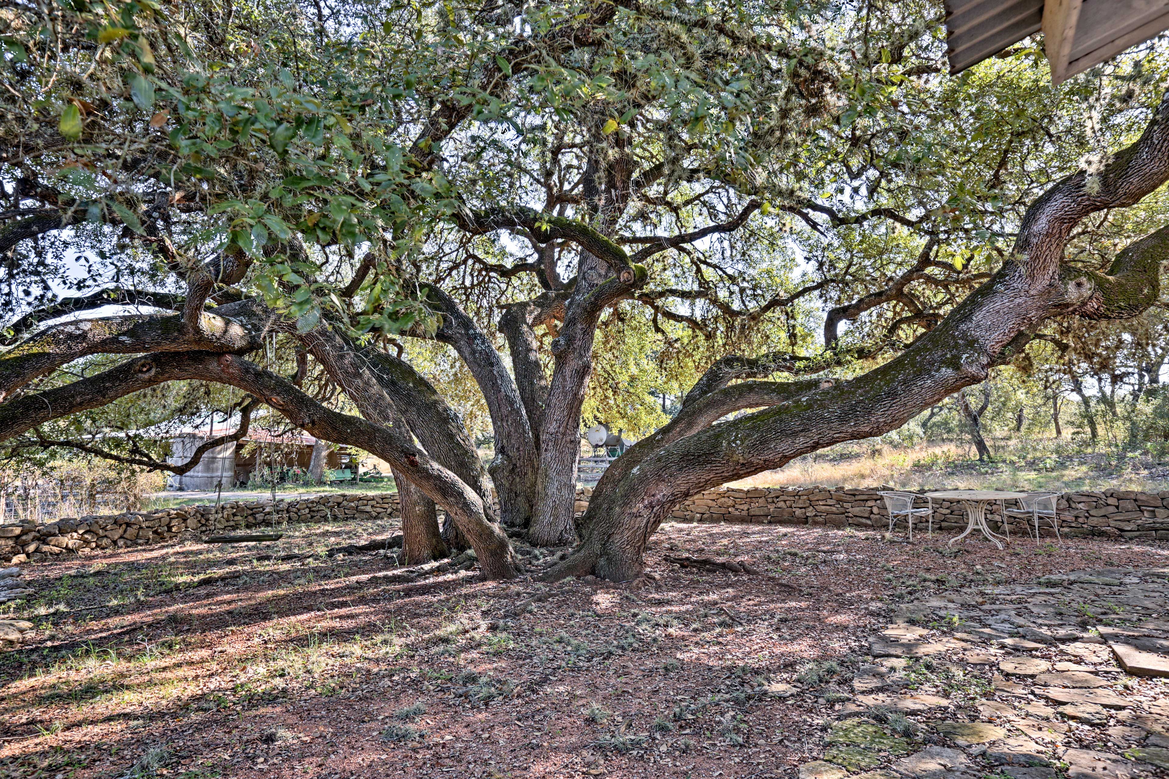 Find comfort under the shade of the large oak trees.