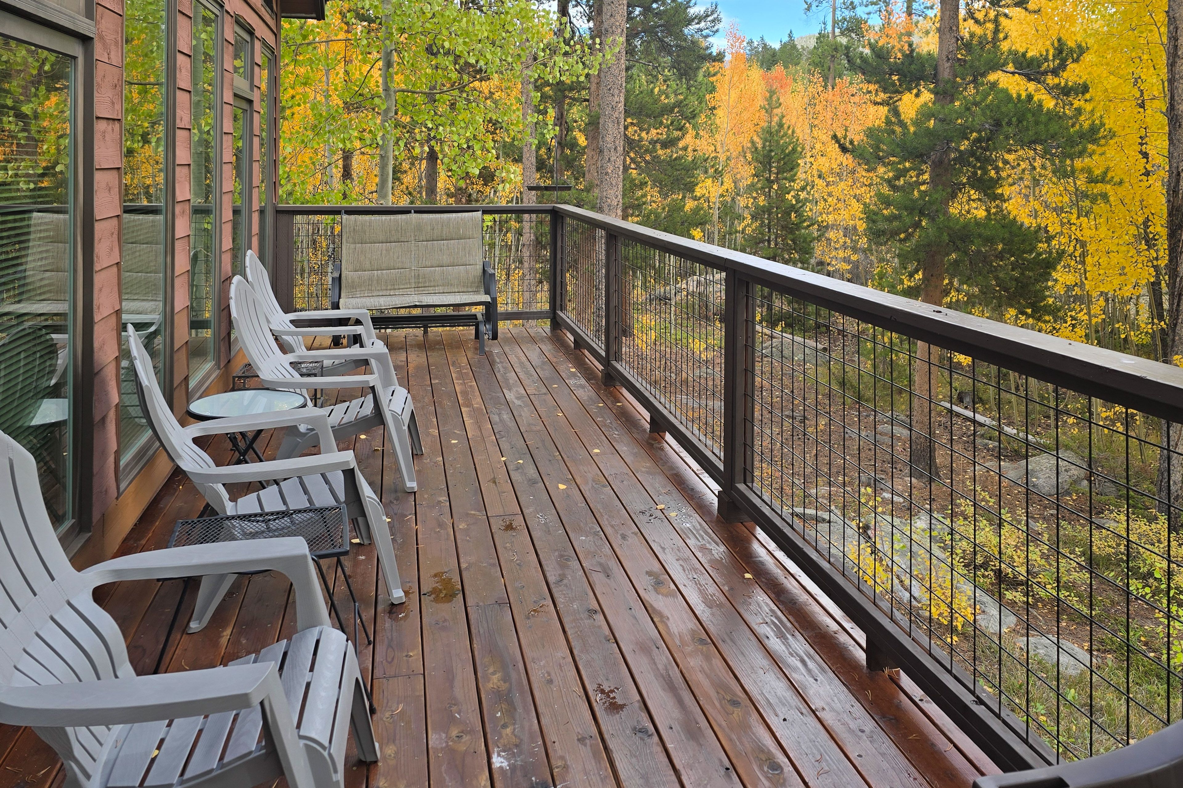 Deck | Fall Views