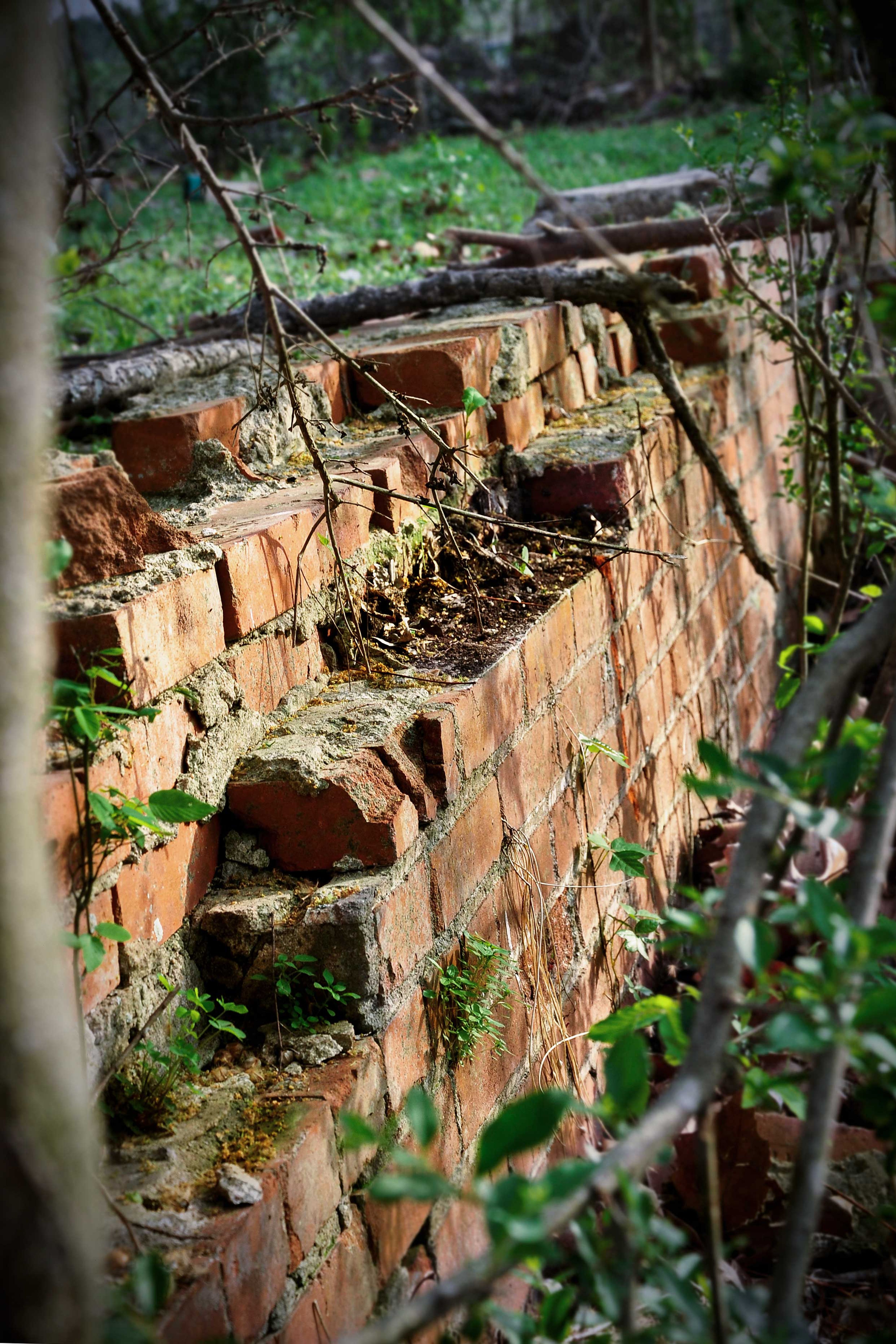 Image 28