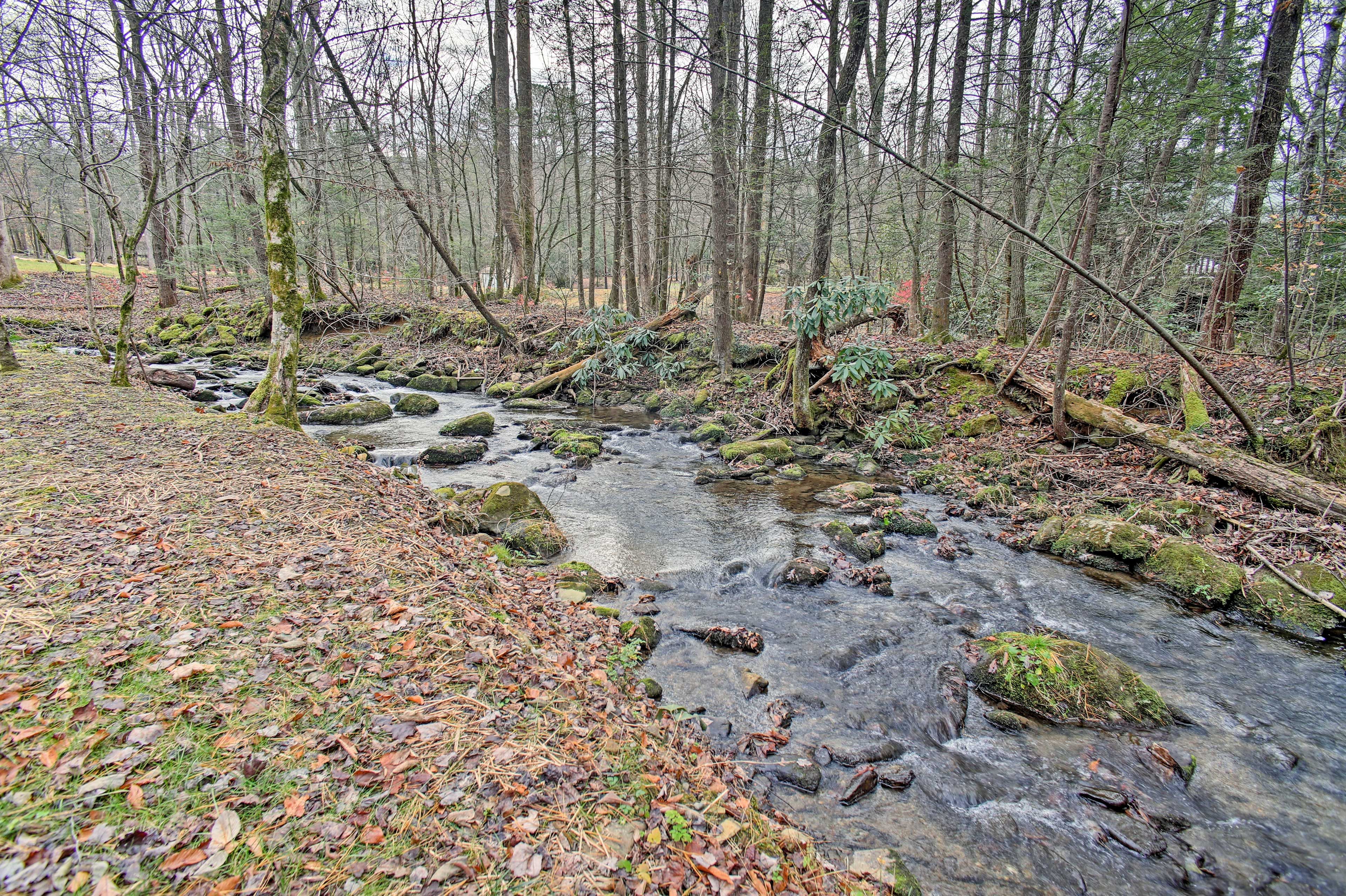 Image 24