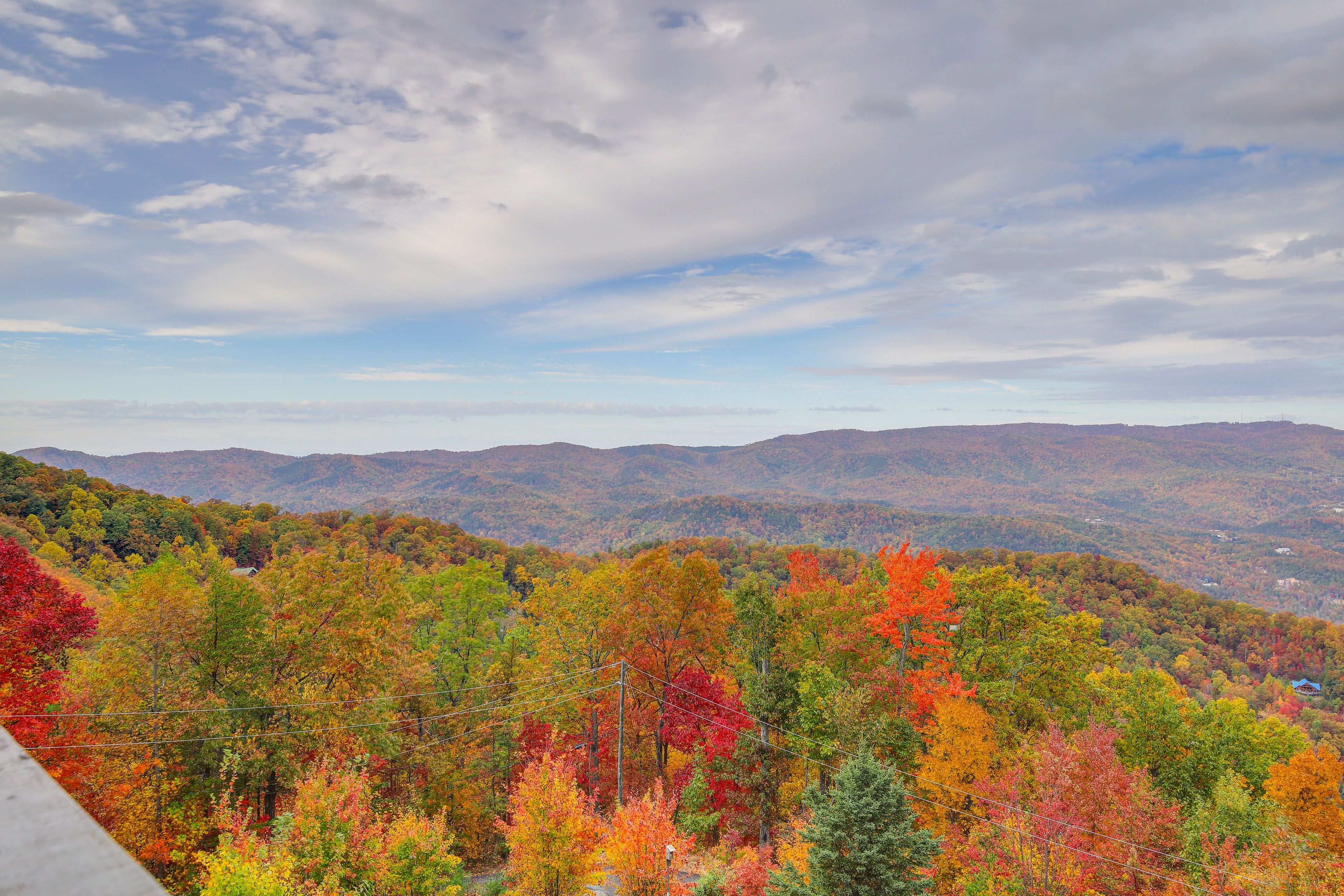 Autumn Views