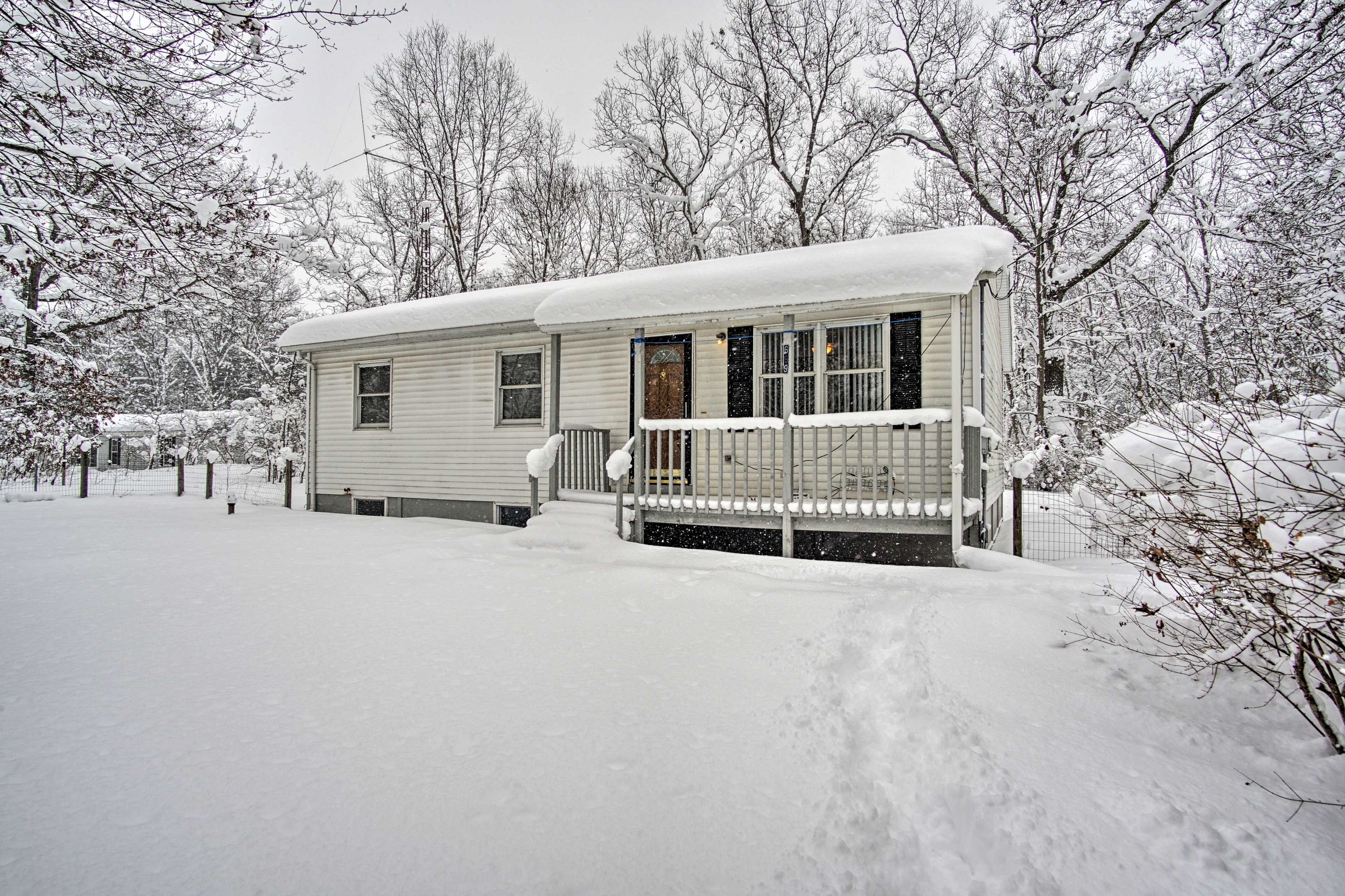 Image 19