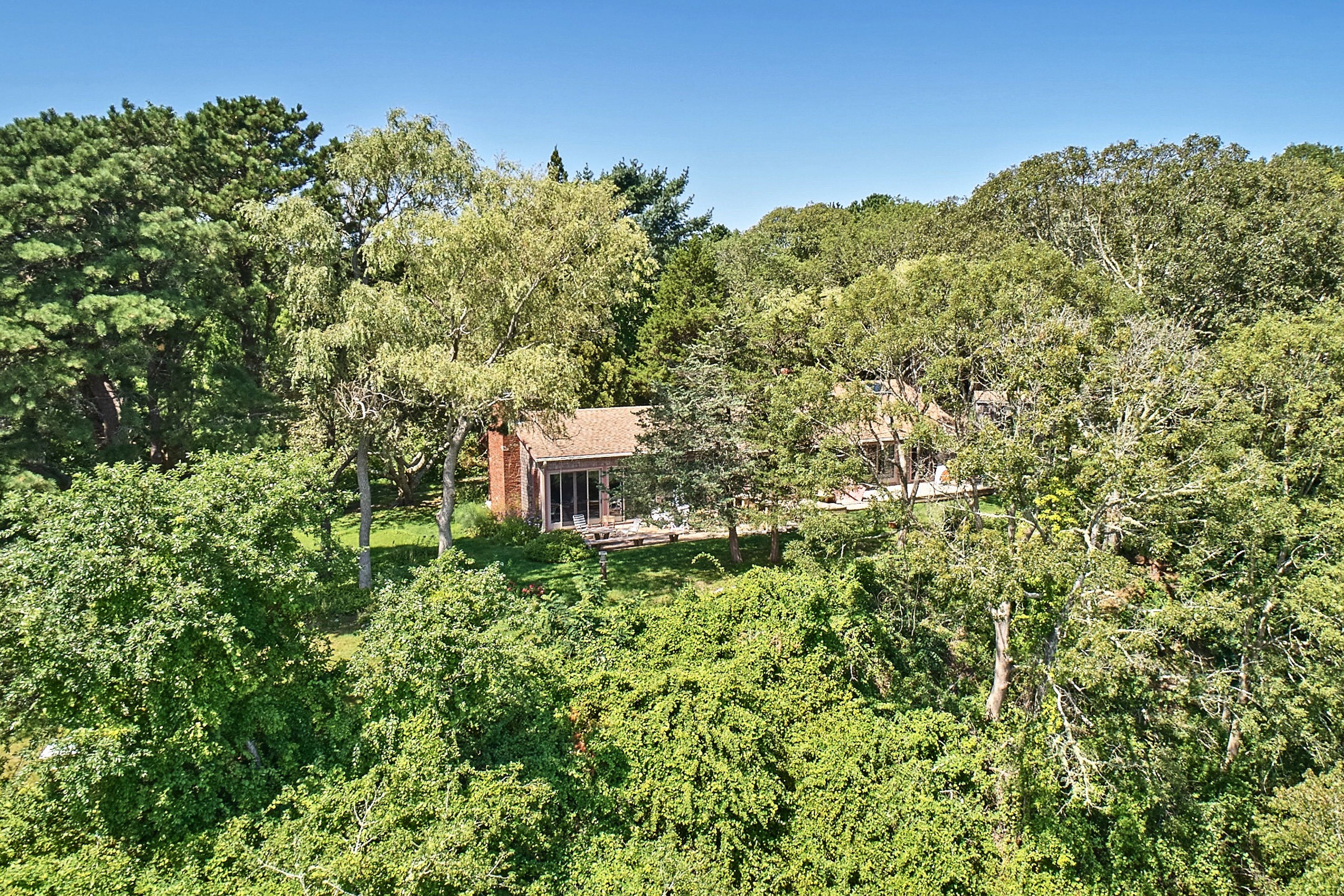 The home is surrounded by towering trees in a lush, private setting.