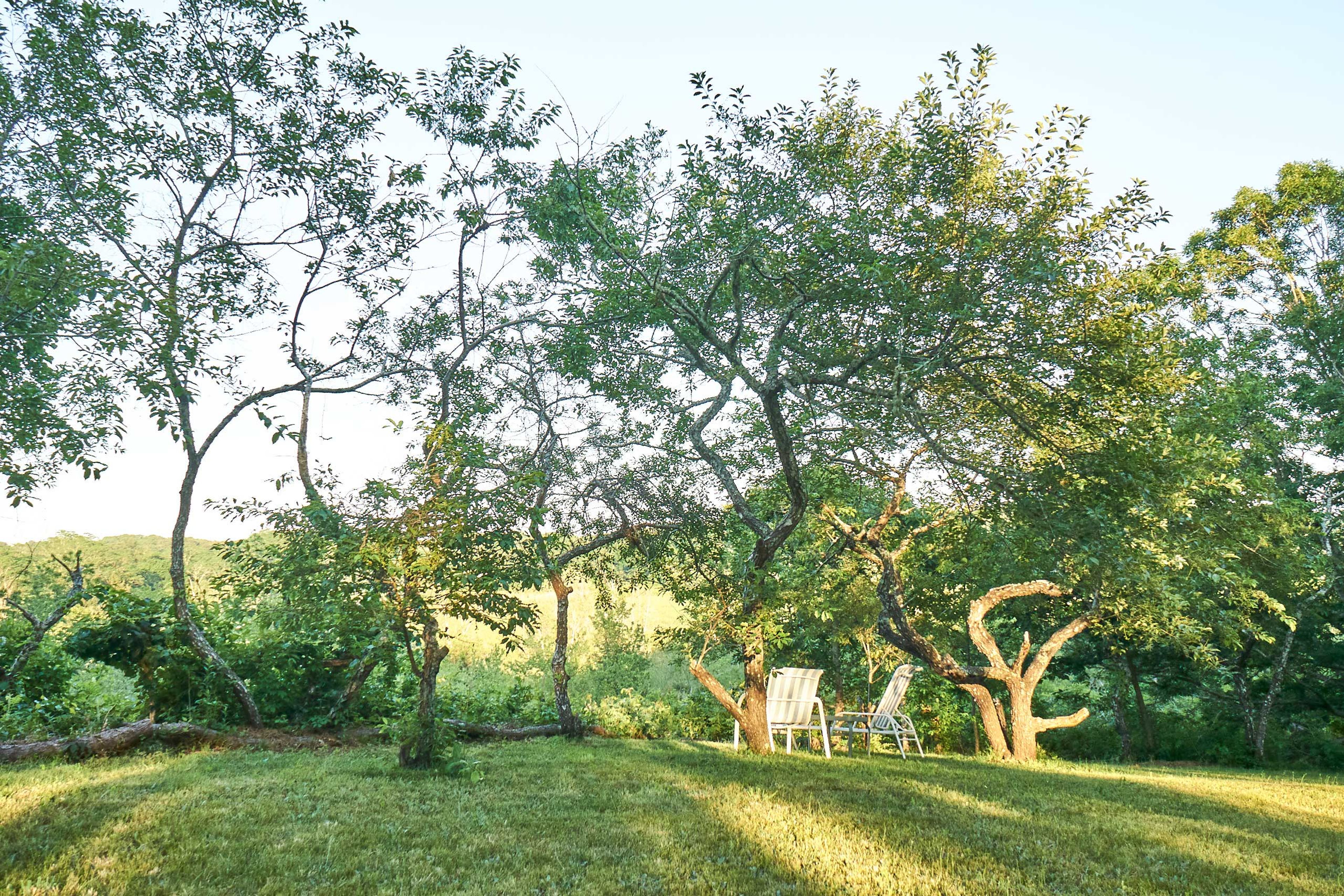 The home sits on a beautiful piece of land.