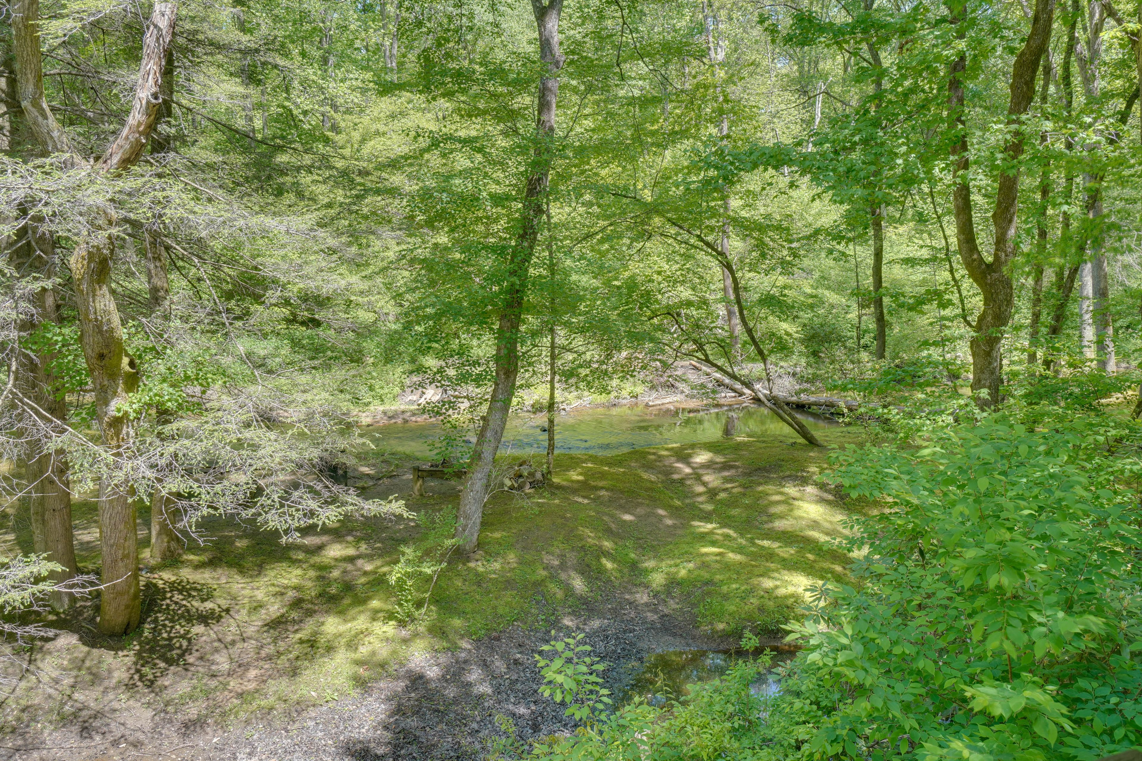 Image 35