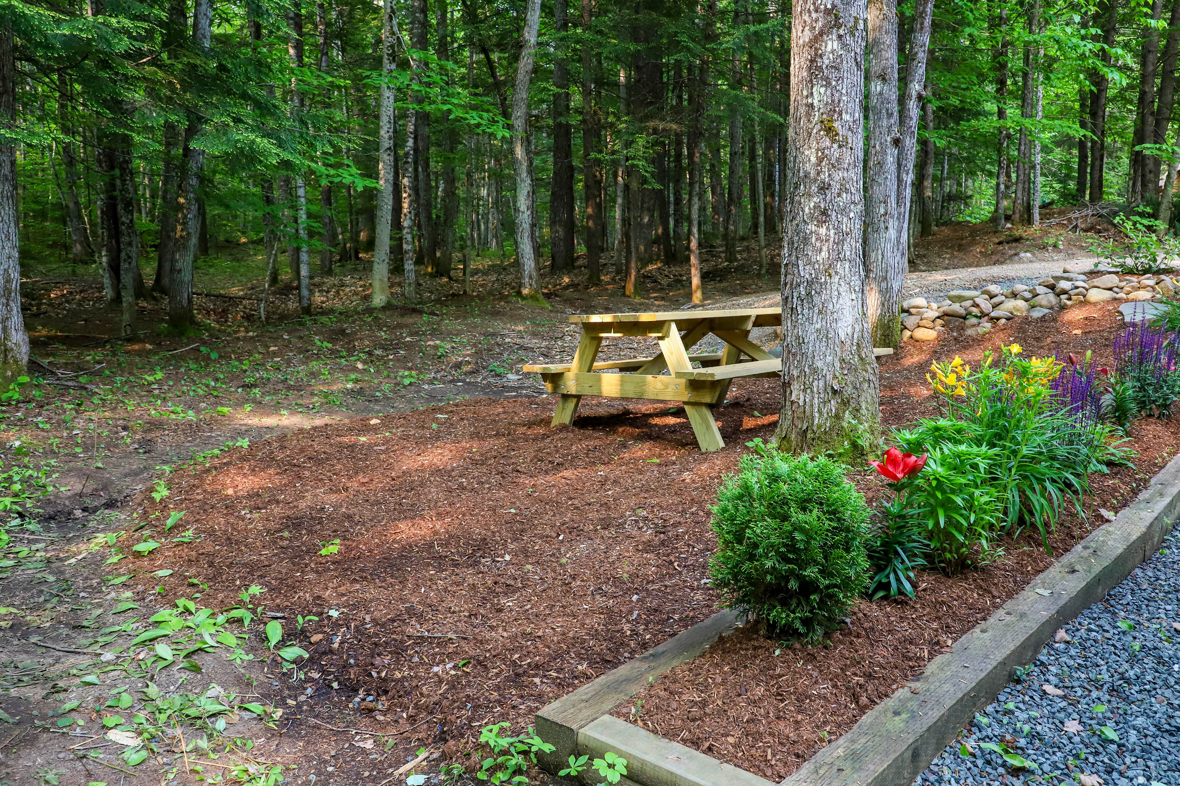 Yard Space | Picnic Table