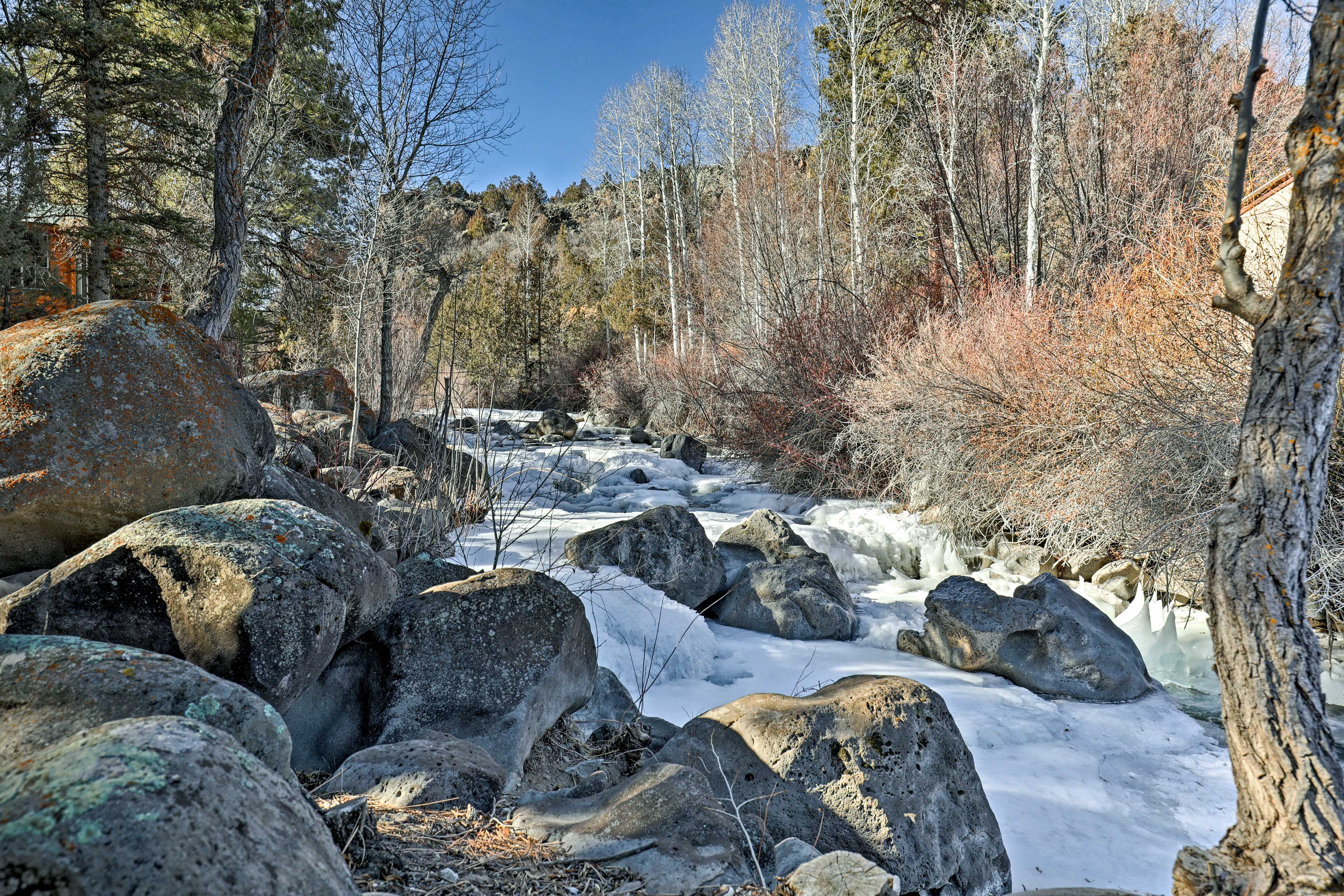 Image 25