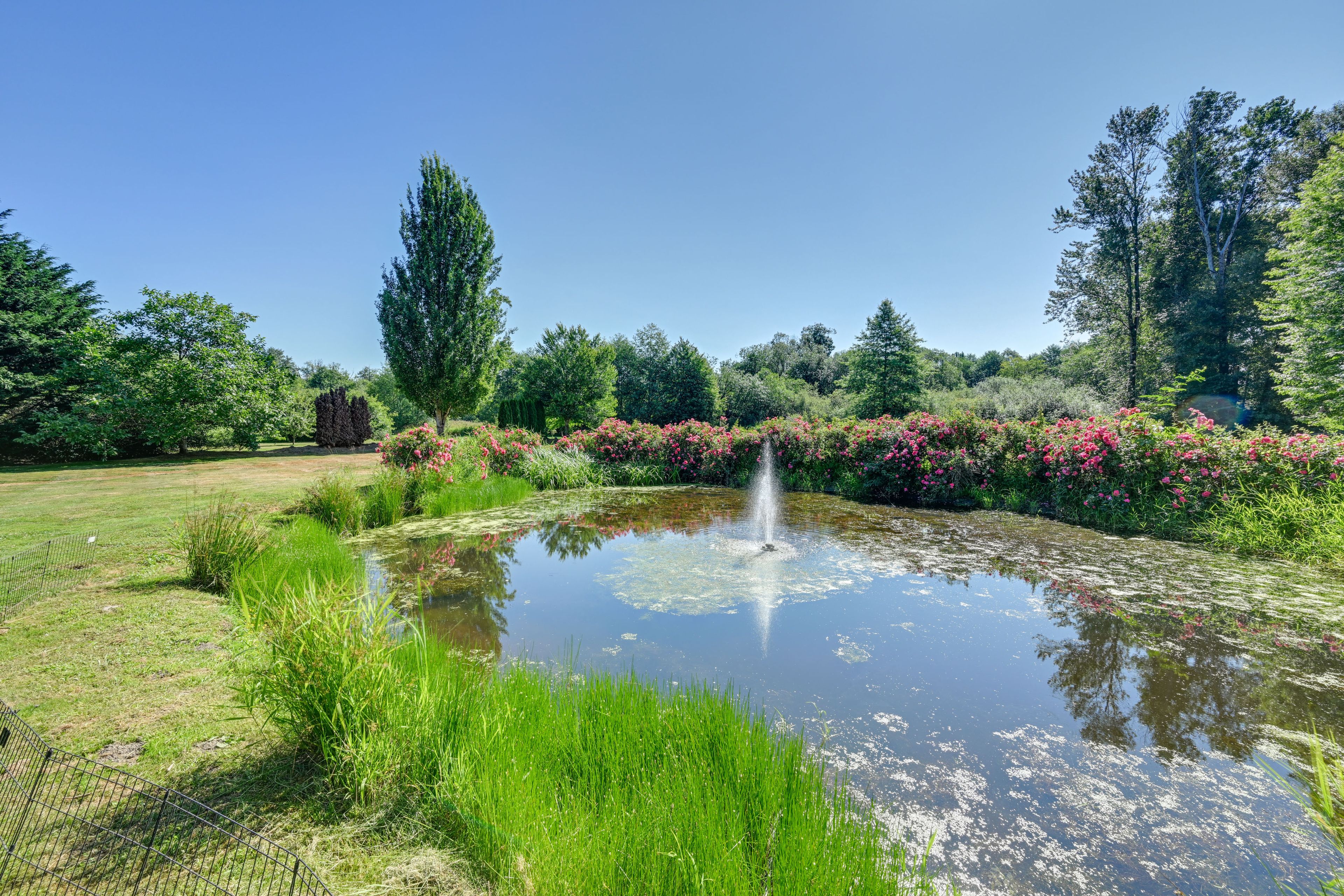 Private Pond