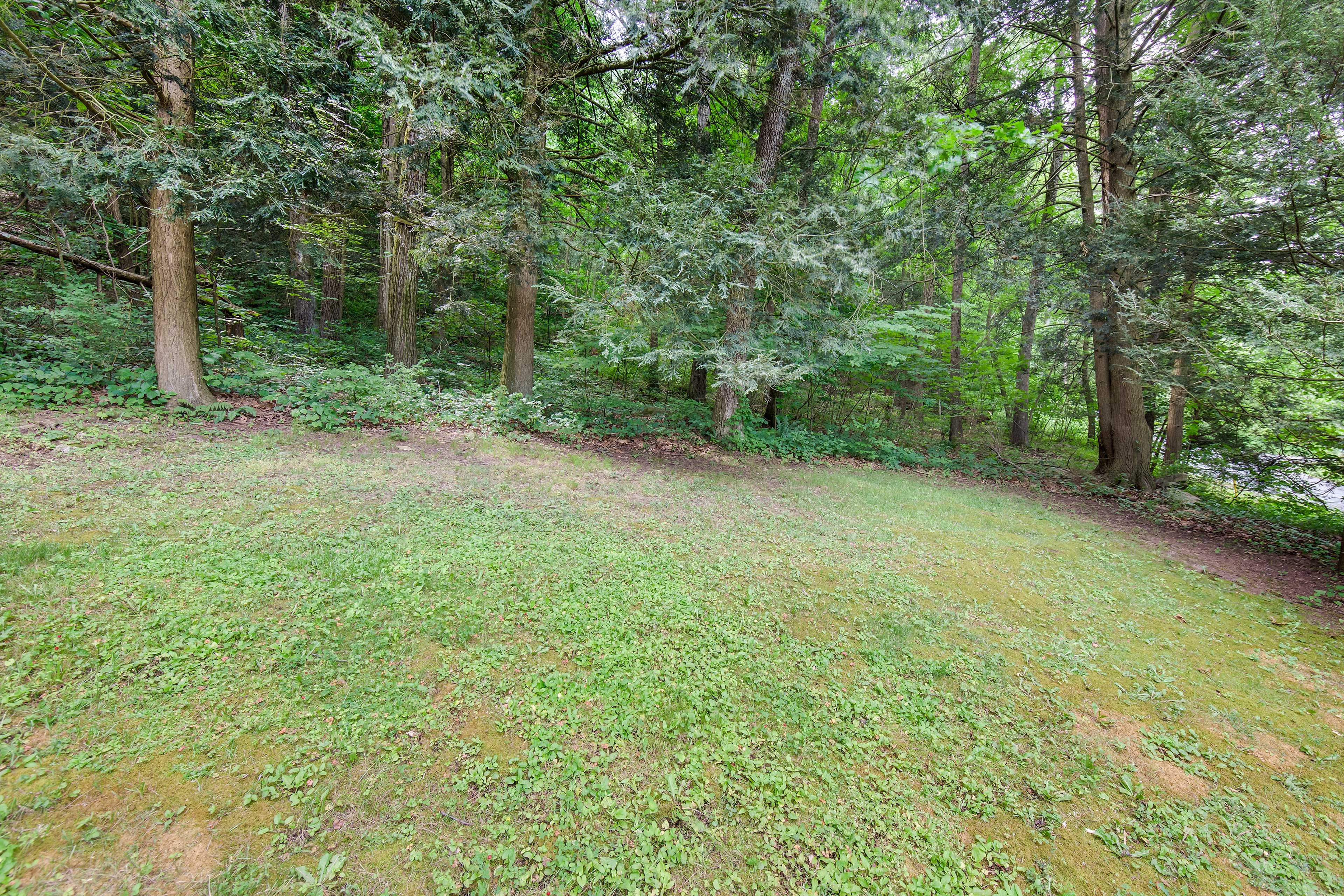 Yard Space