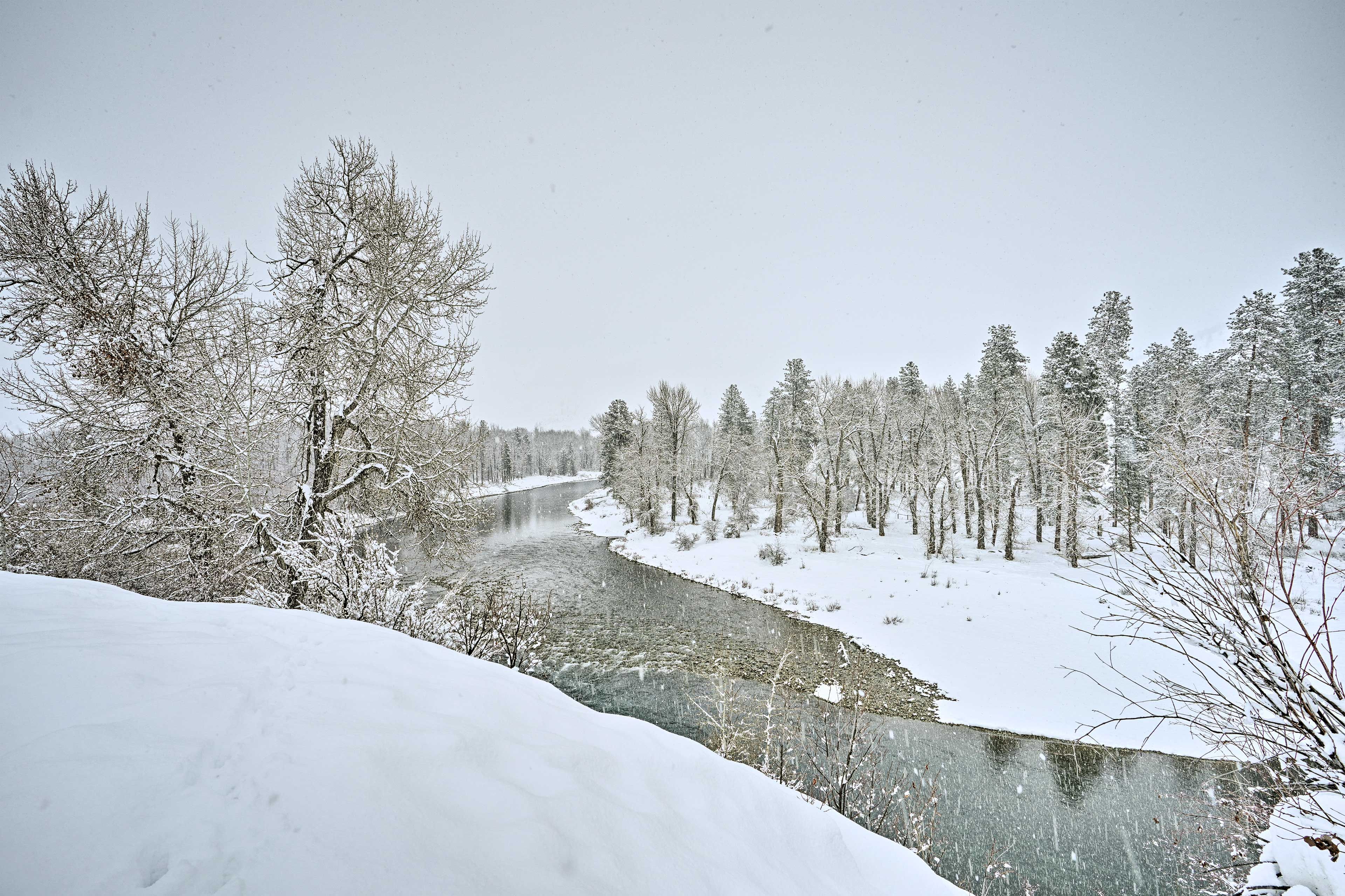 Plan your Washington getaway today!