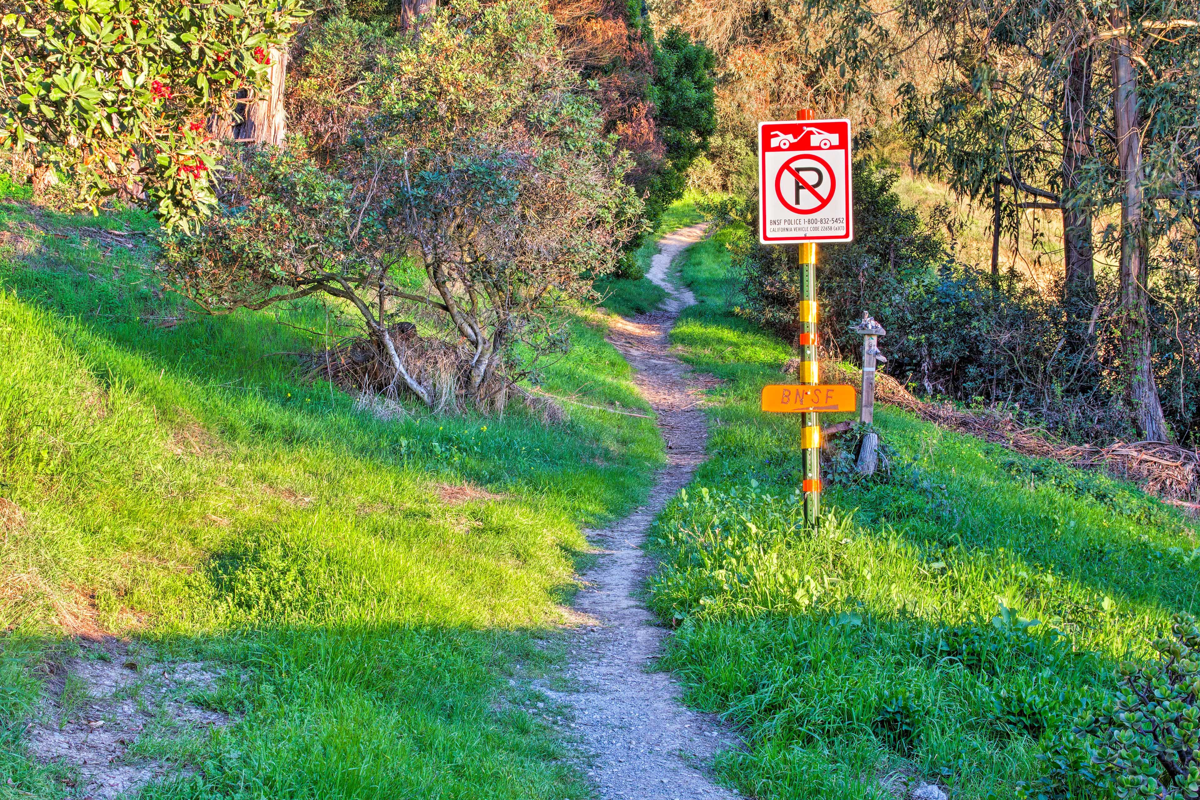 Nearby | Hiking