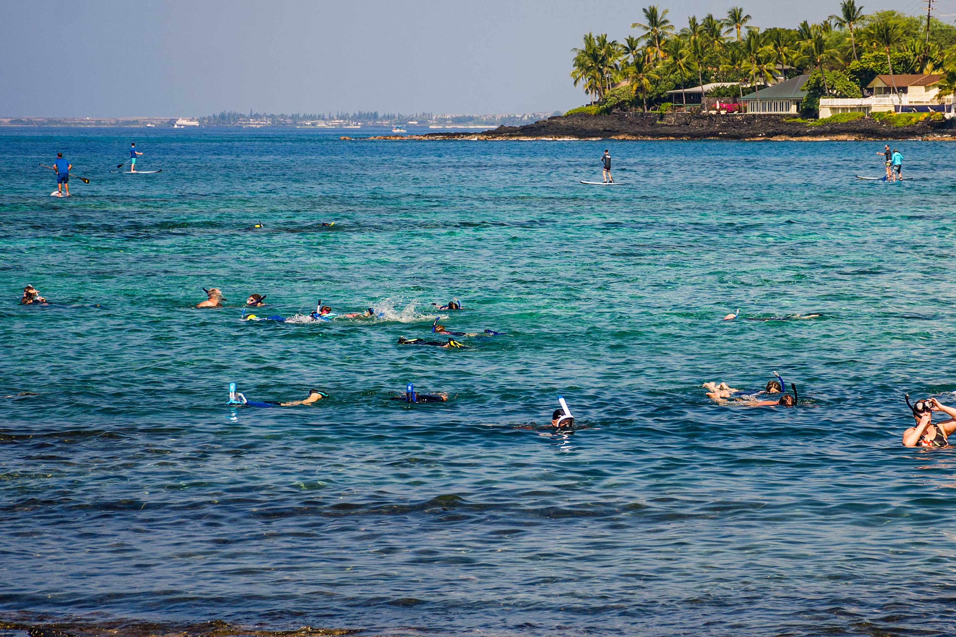 Kahaluu Park
