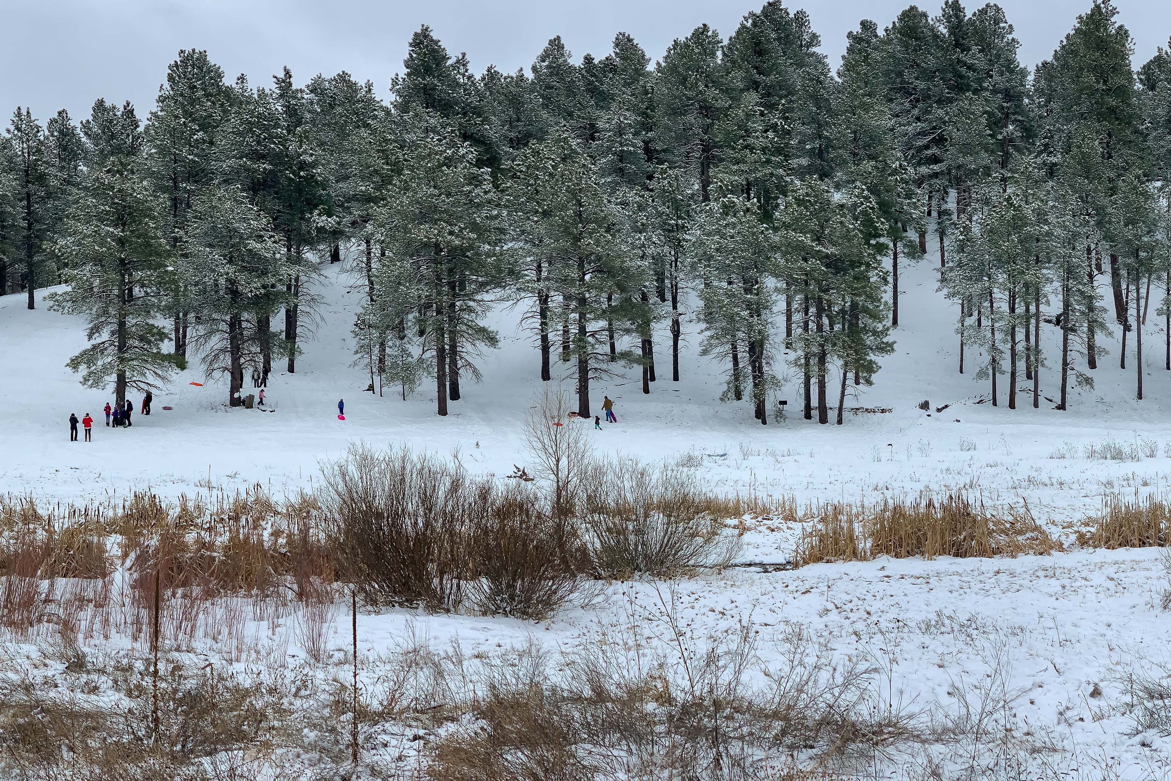 Nearby Sledding Hill
