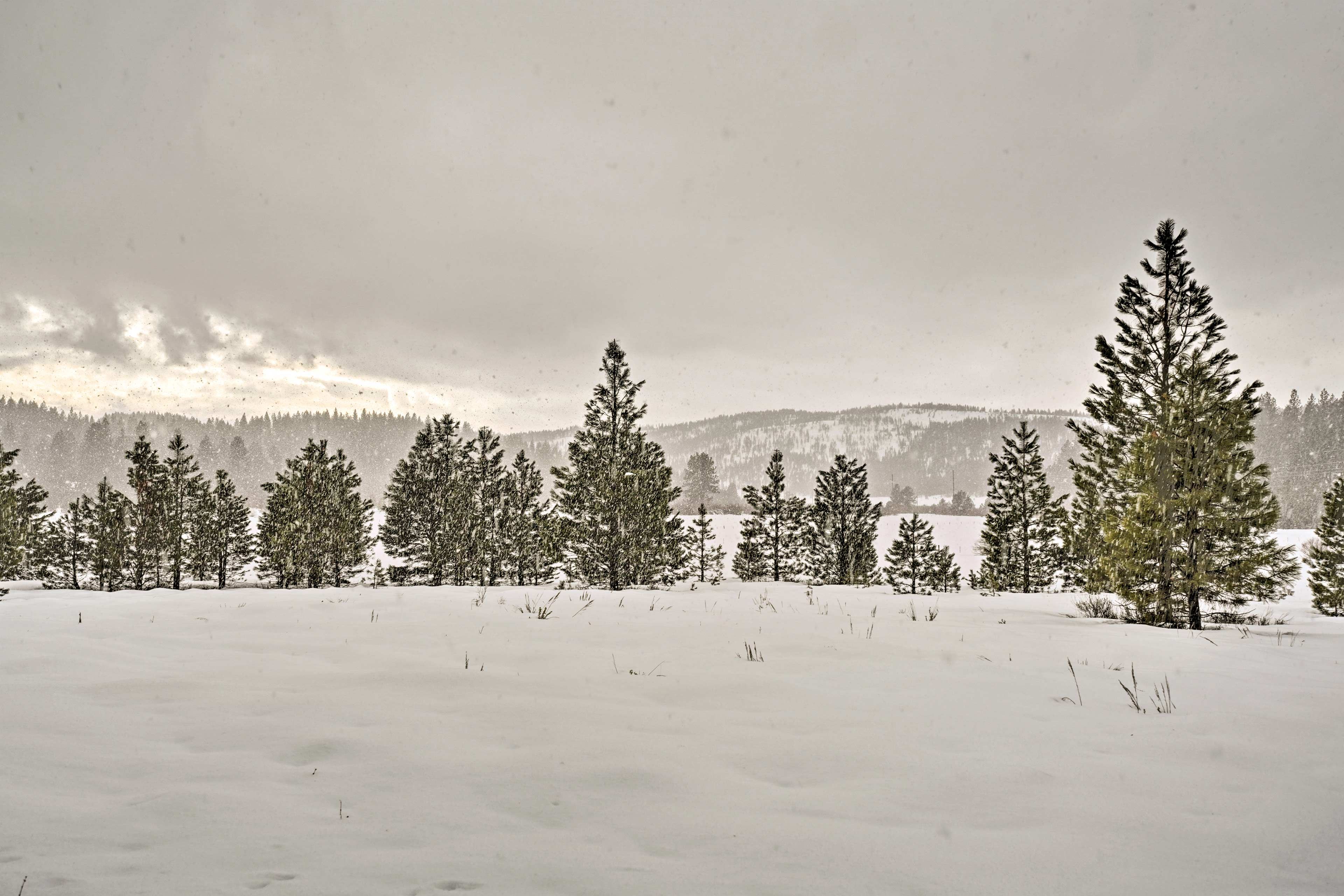 Lace up your hiking boots and explore the Payette National Forest.