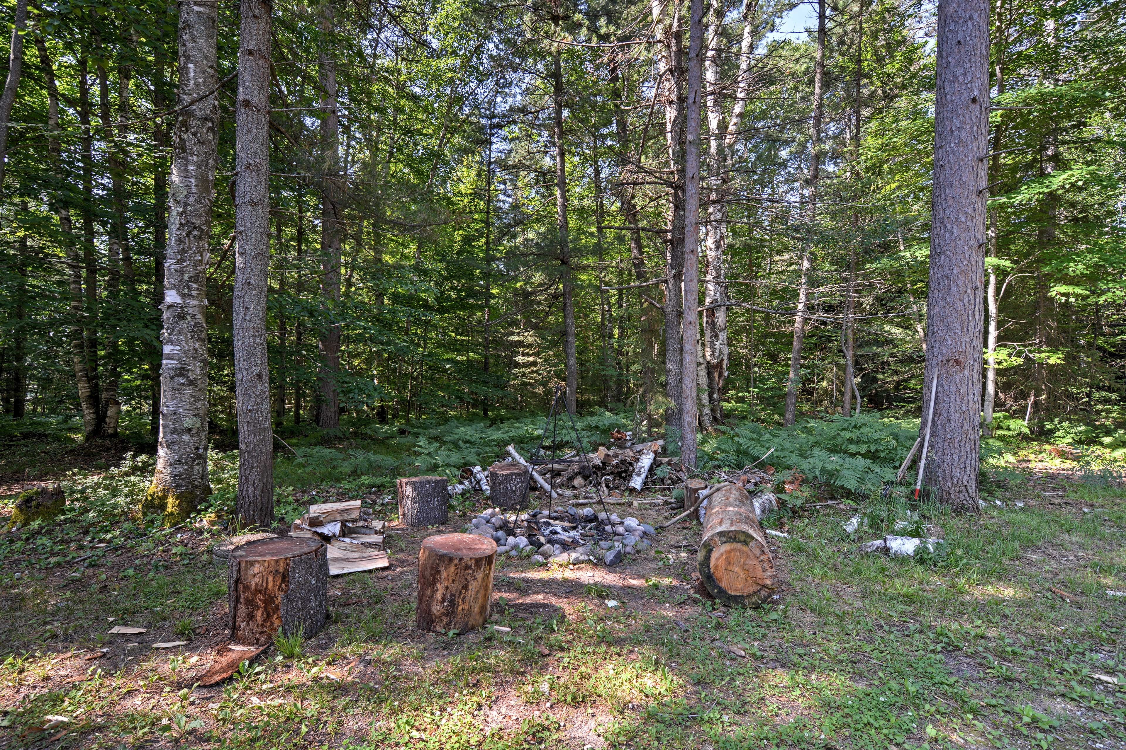 Image 21