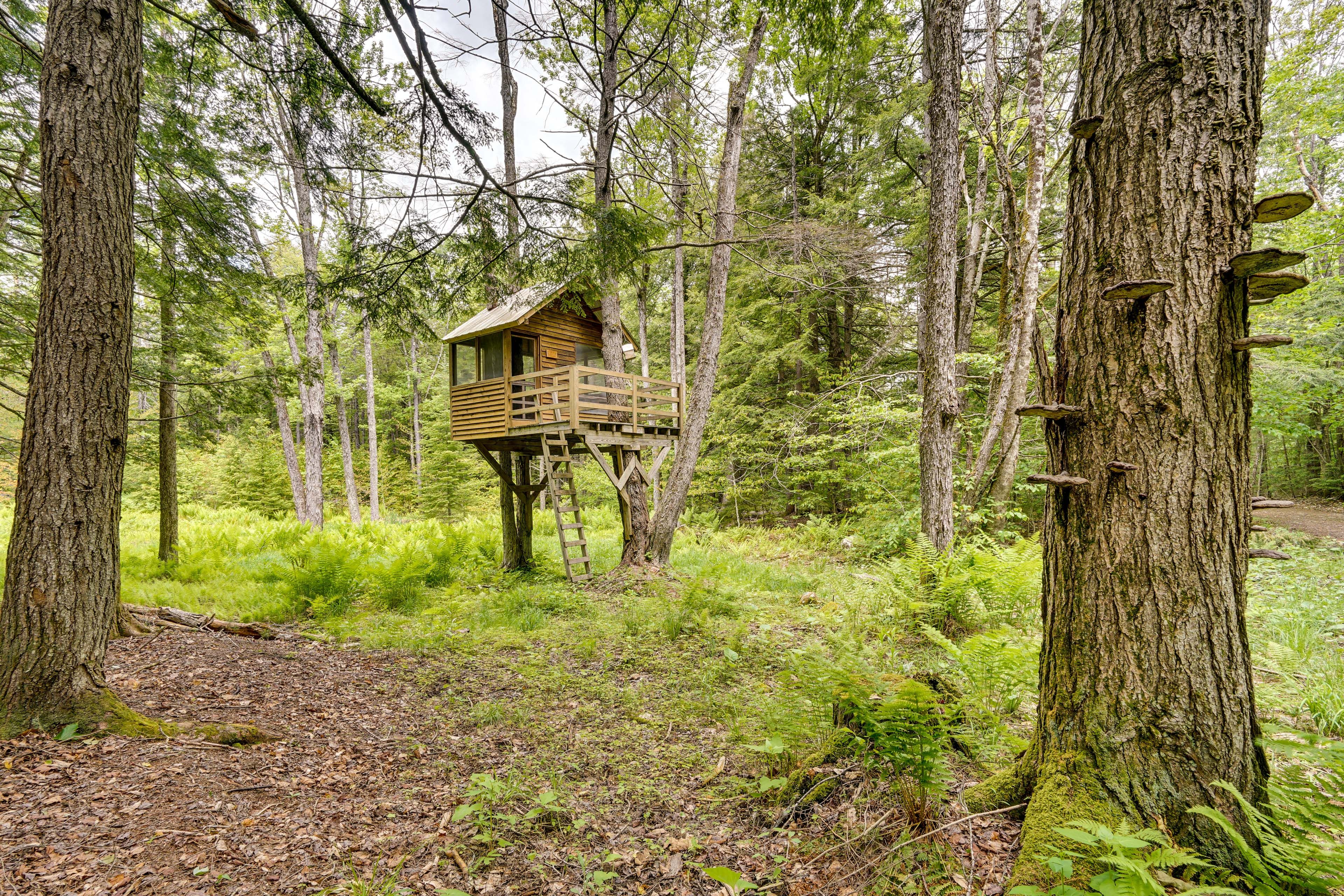 Treehouse