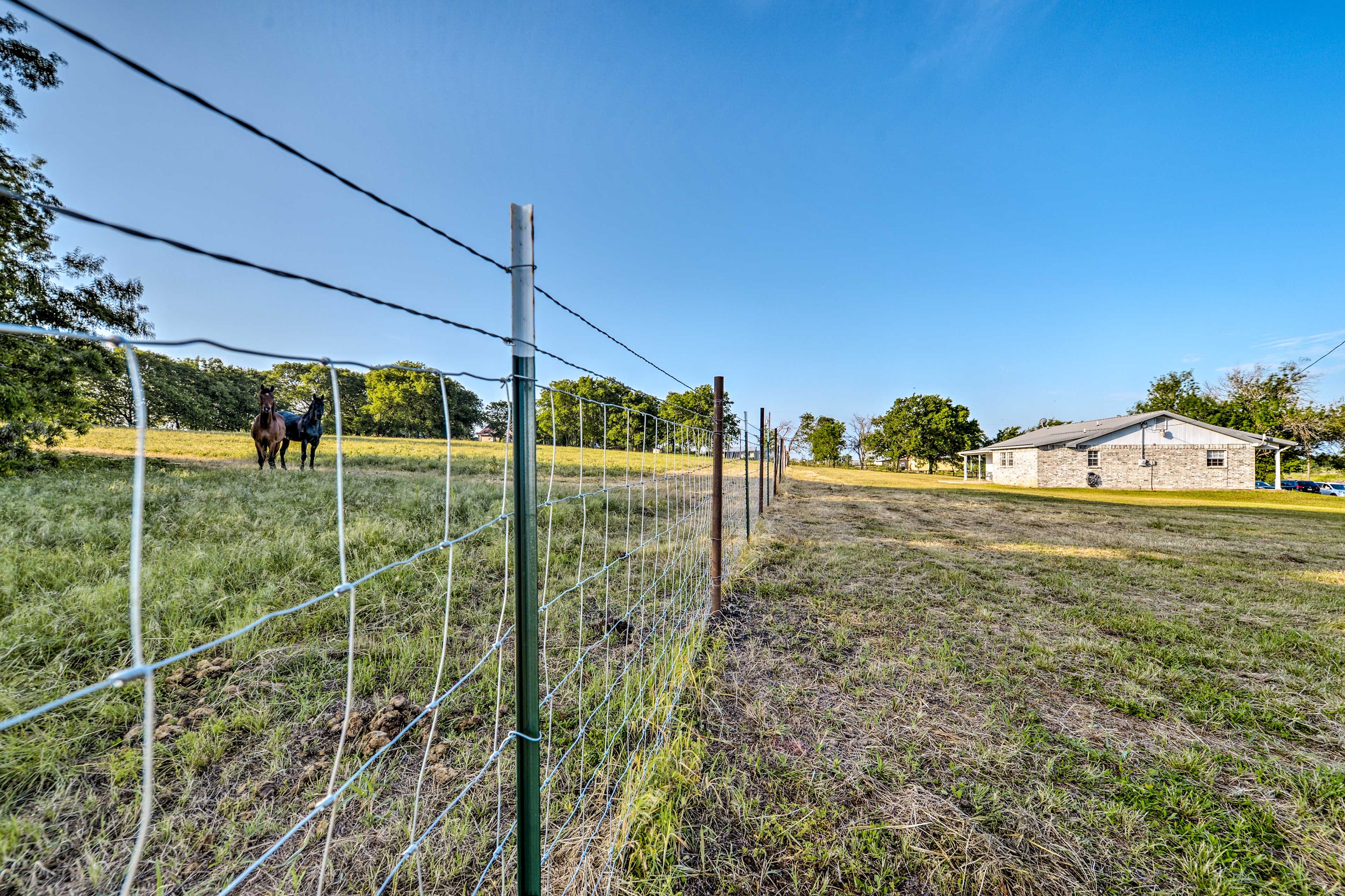 Exterior | Horses