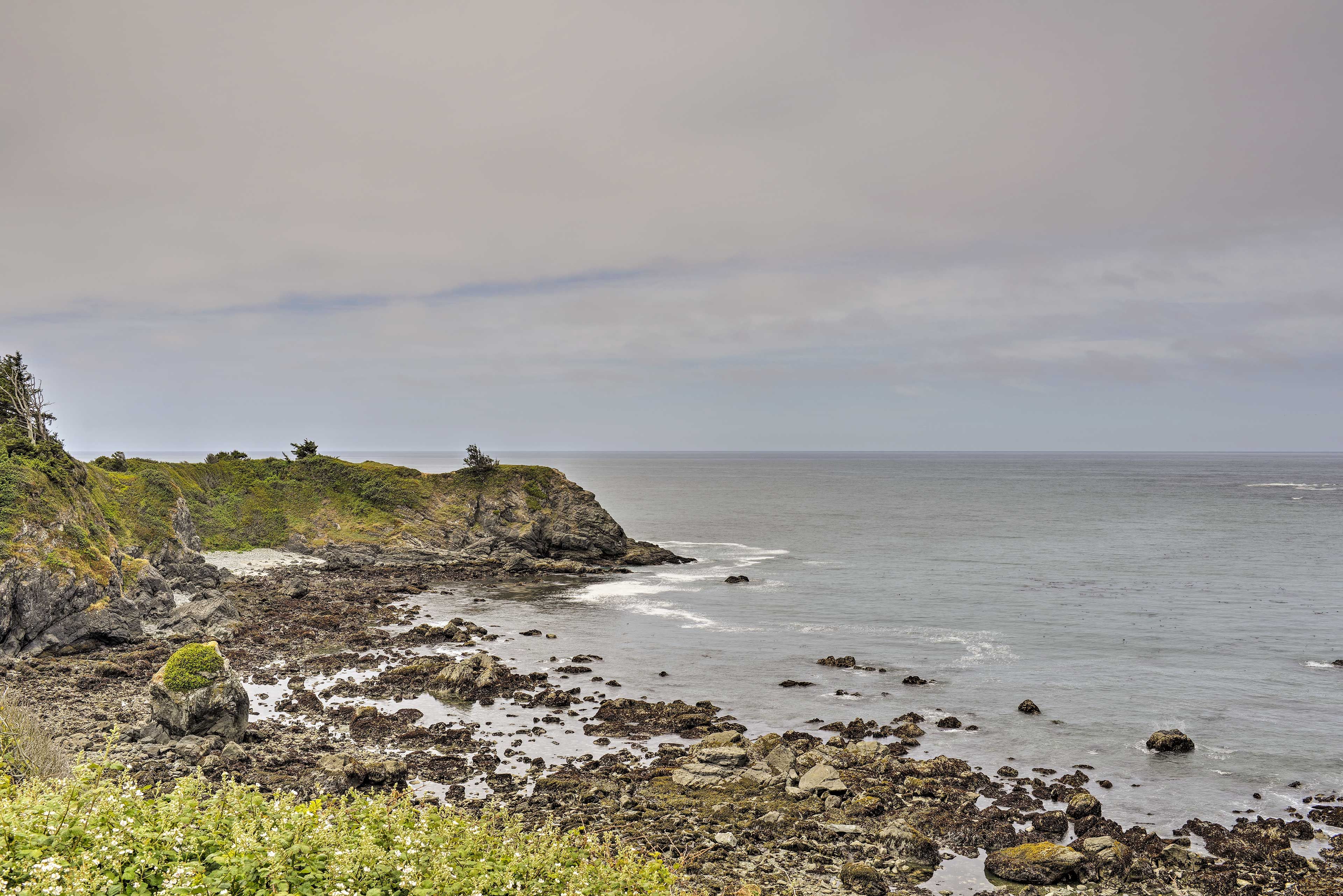 Brookings Vacation Rental | Studio | 1BA | 480 Sq Ft | Step-Free Access