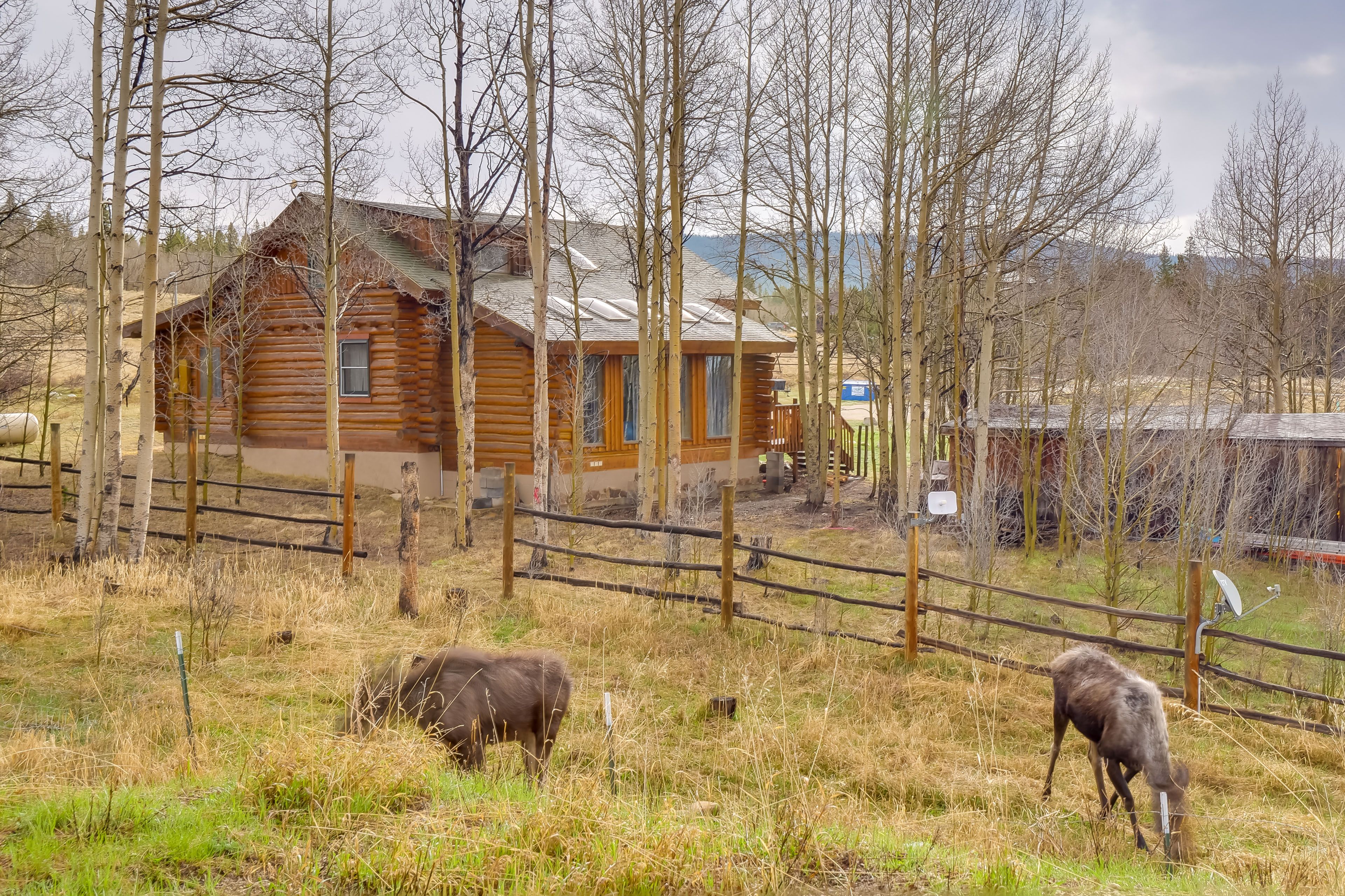 Wildlife Viewing