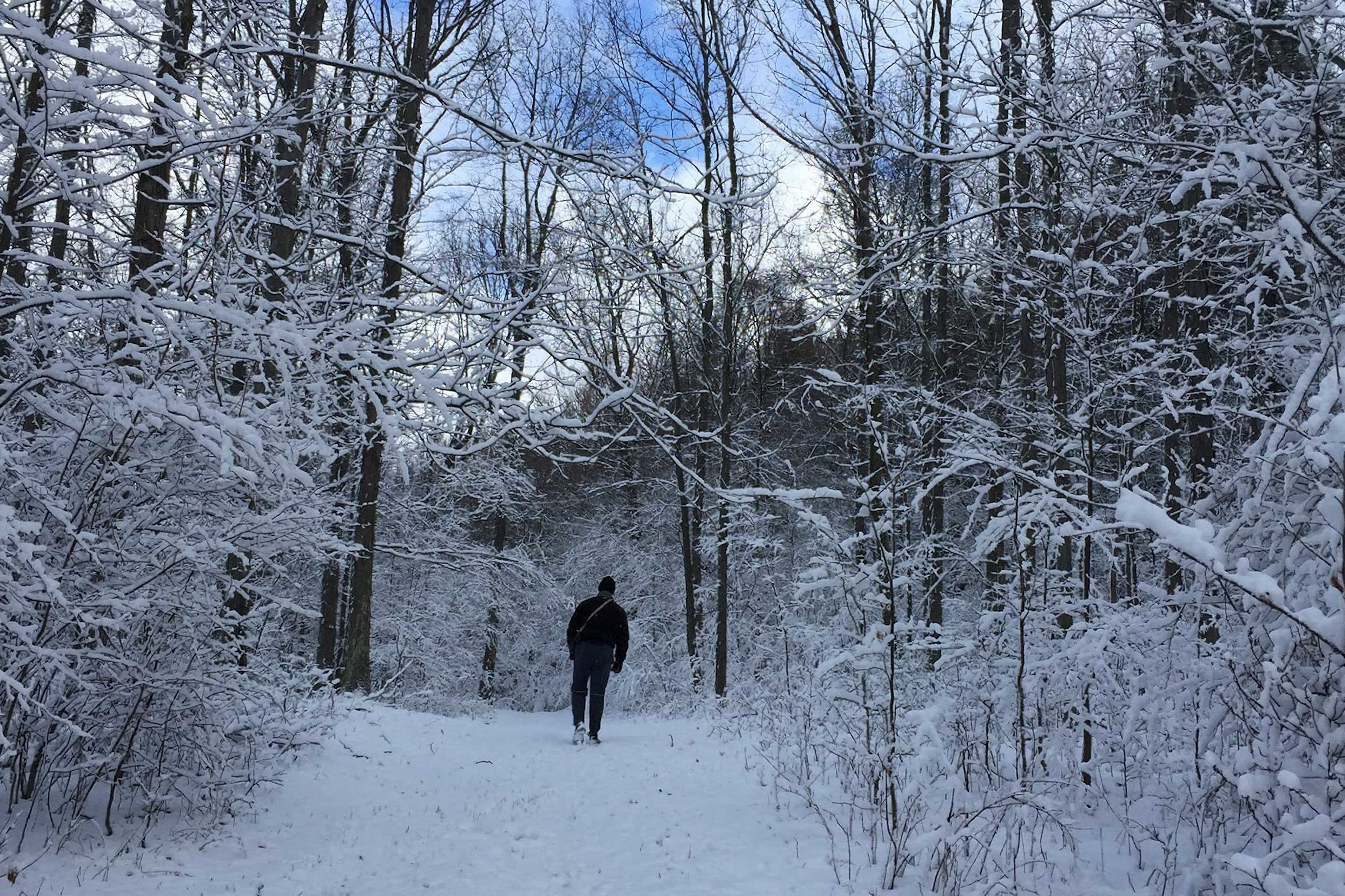 Seasonal On-Site Views