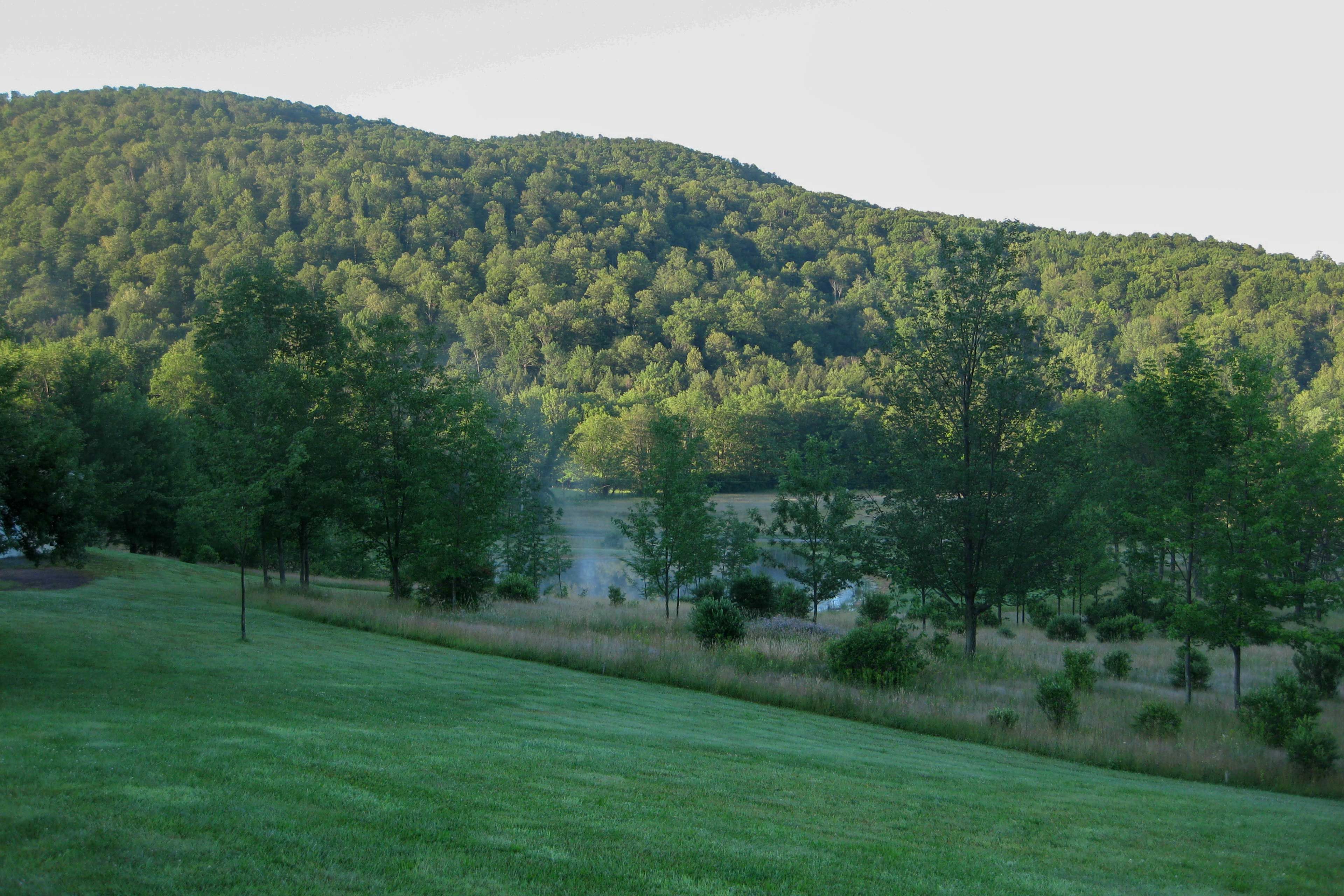 Image 37