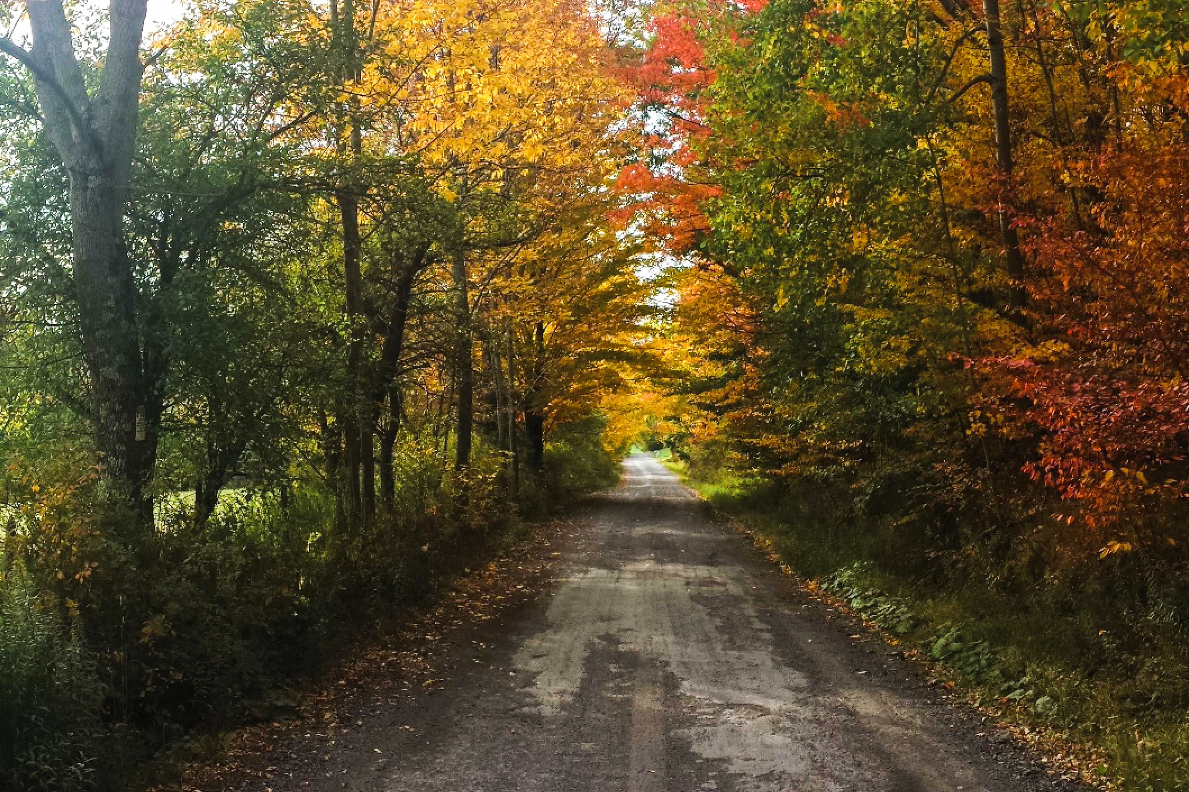 Autumn Drive up to Lazy Bear Lodge