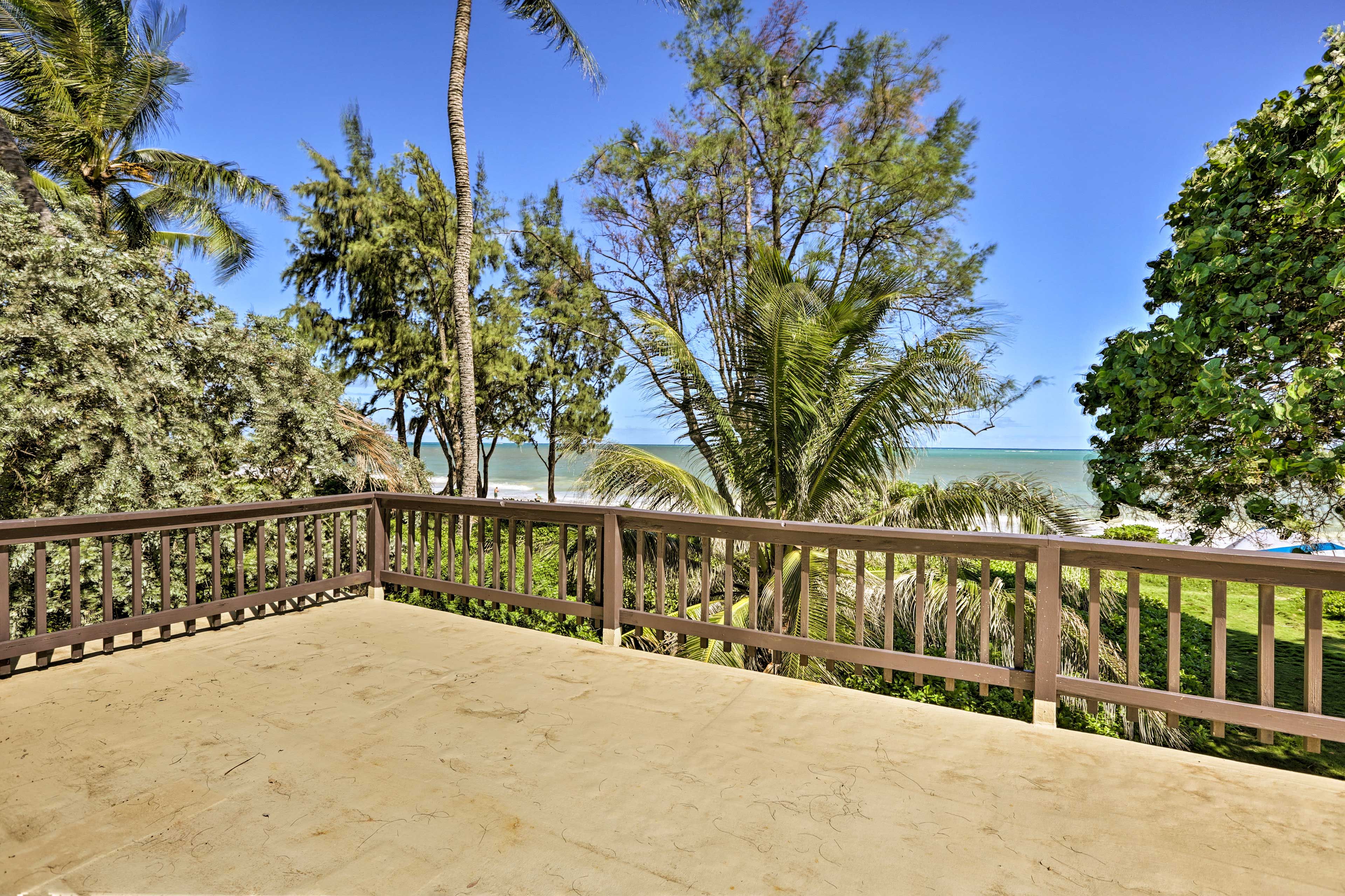 Property Views