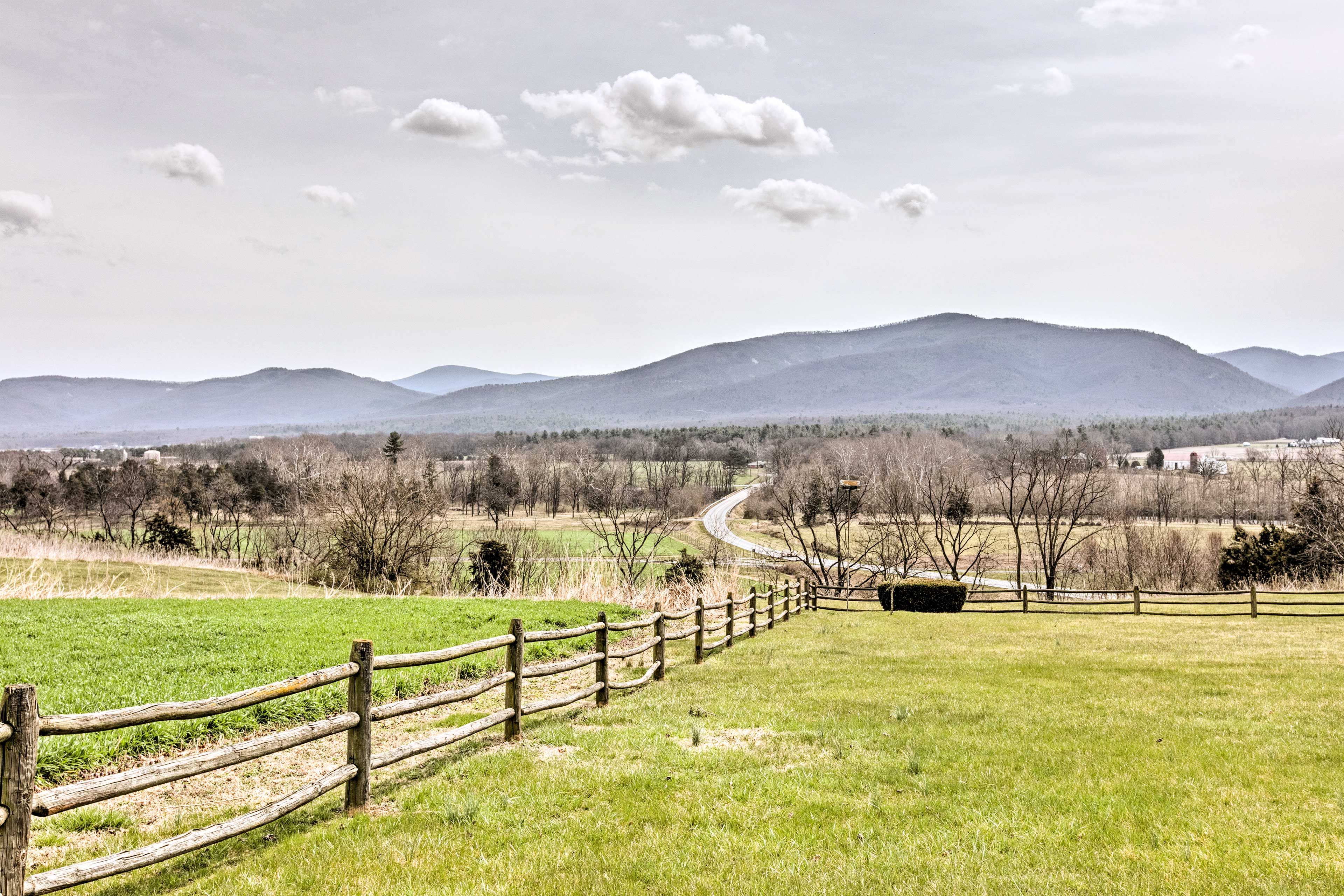 Fenced-In Yard