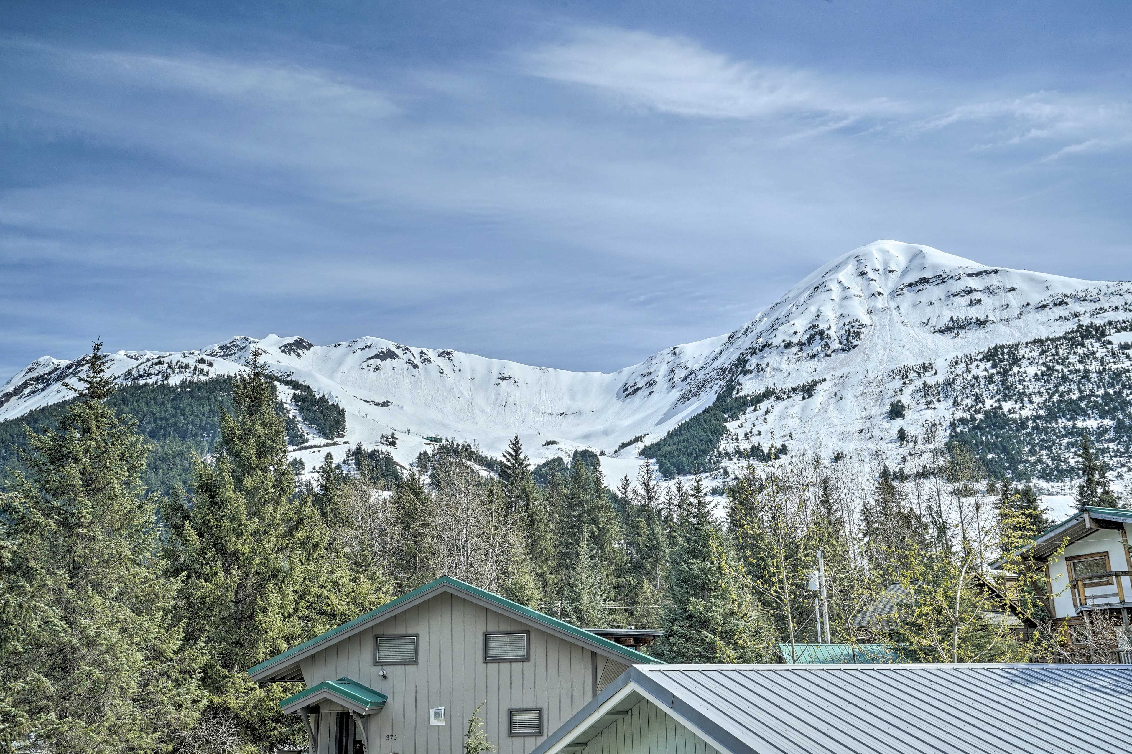 Views From Cabin