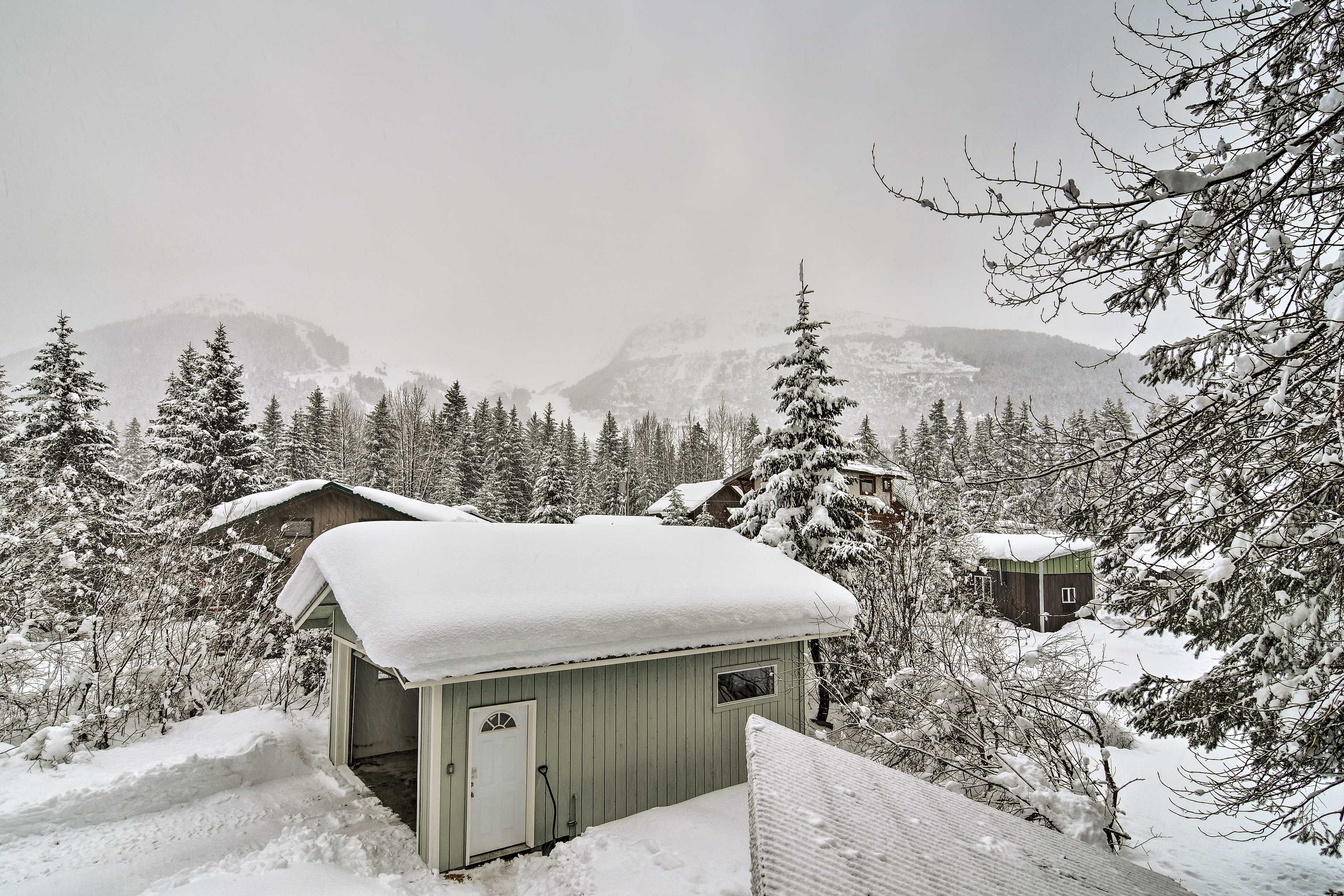 Cabin Views