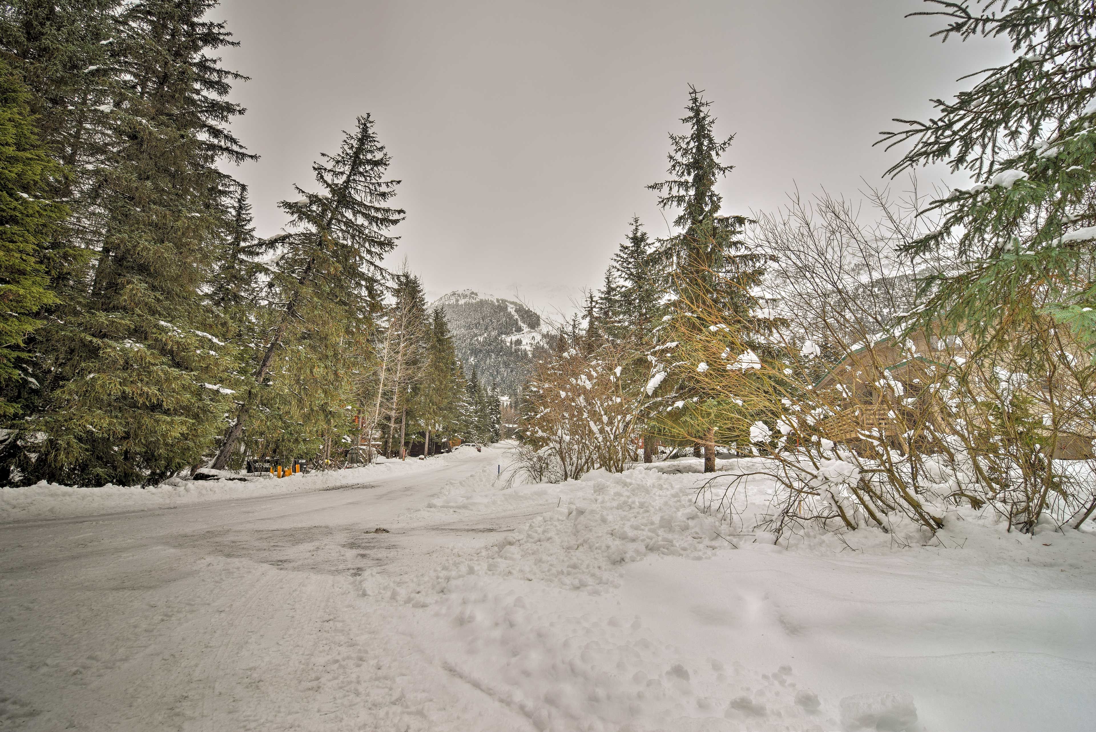 Surrounding Area