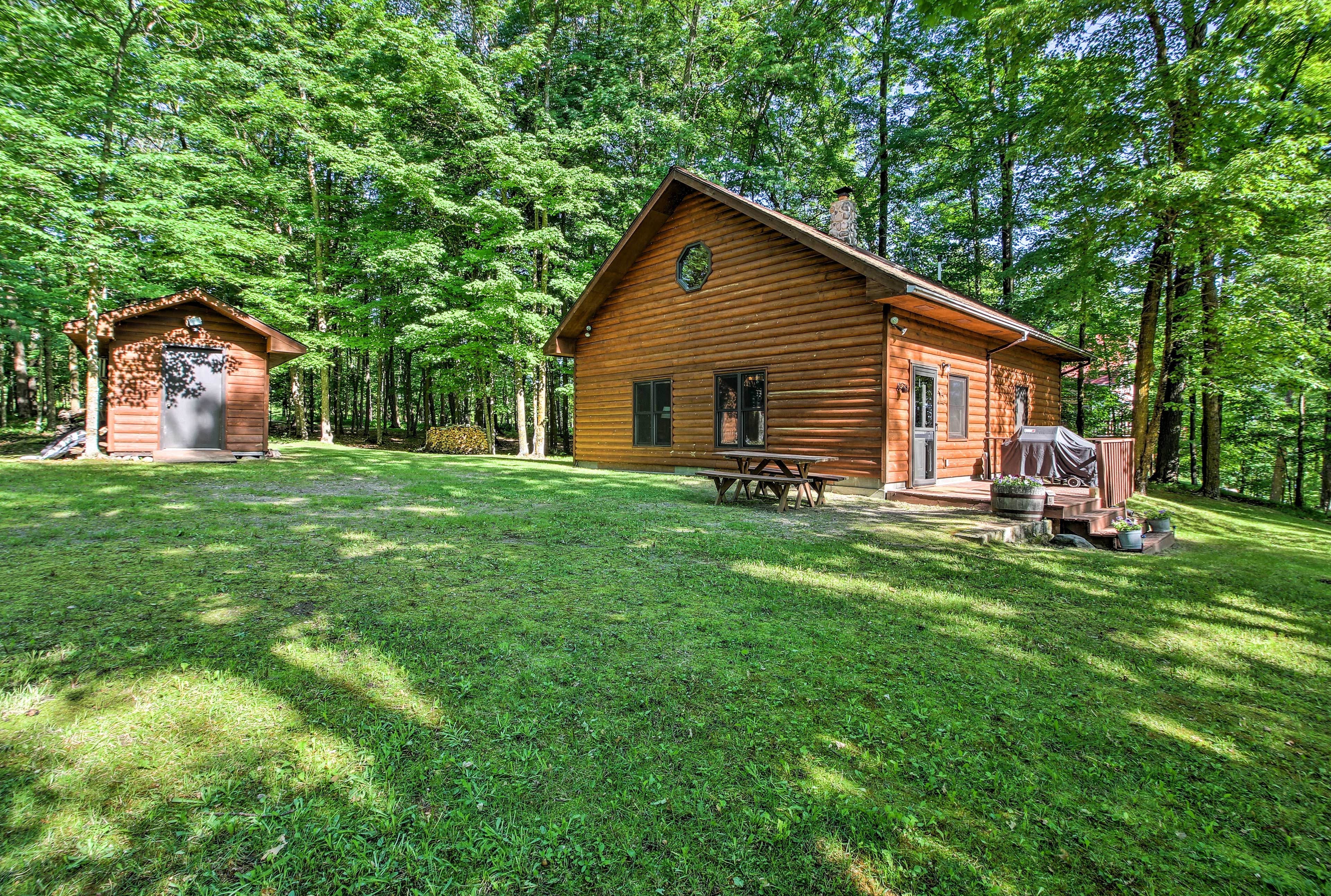 Backyard | Picnic Table