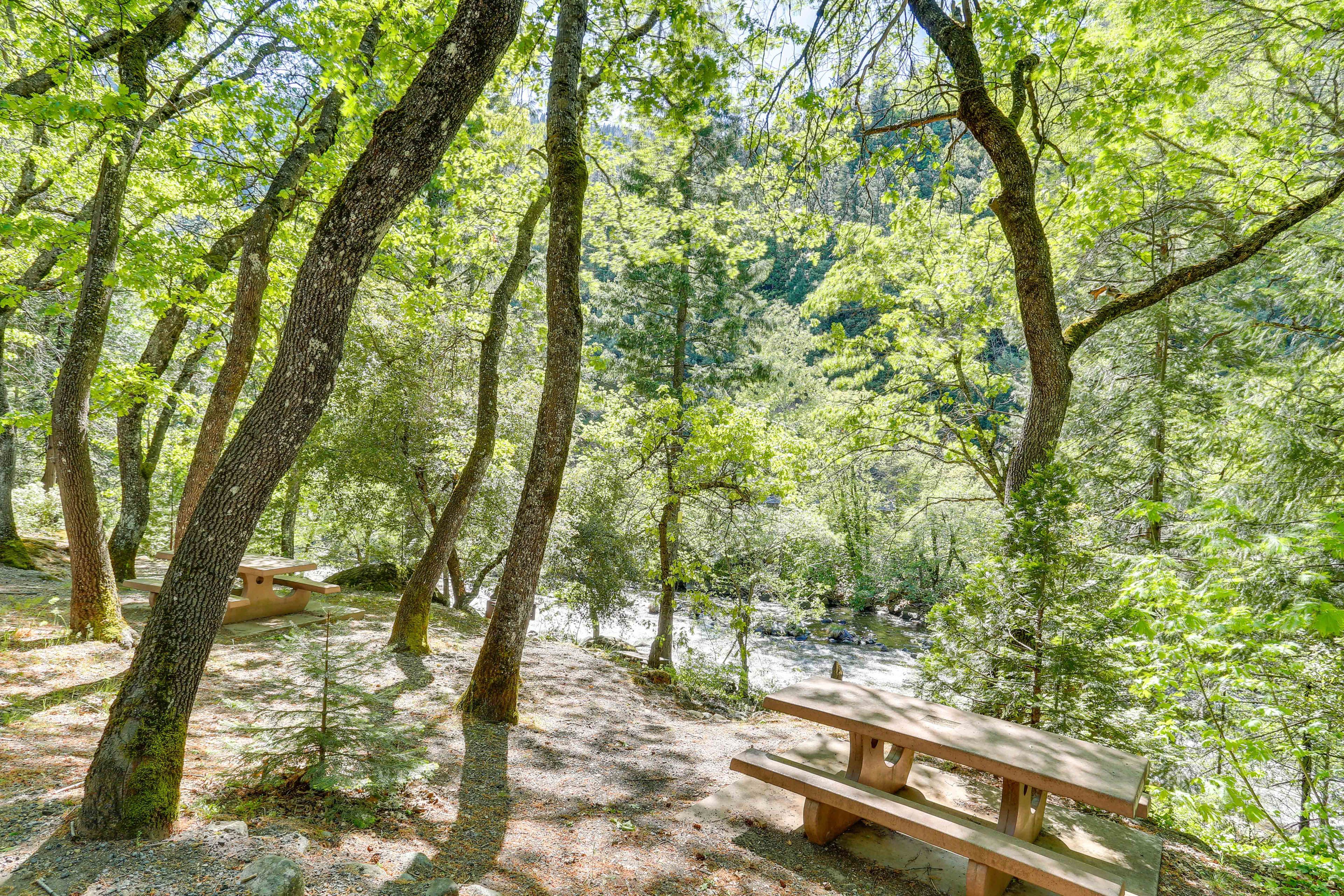 Nearby Fishing | Outdoor Dining