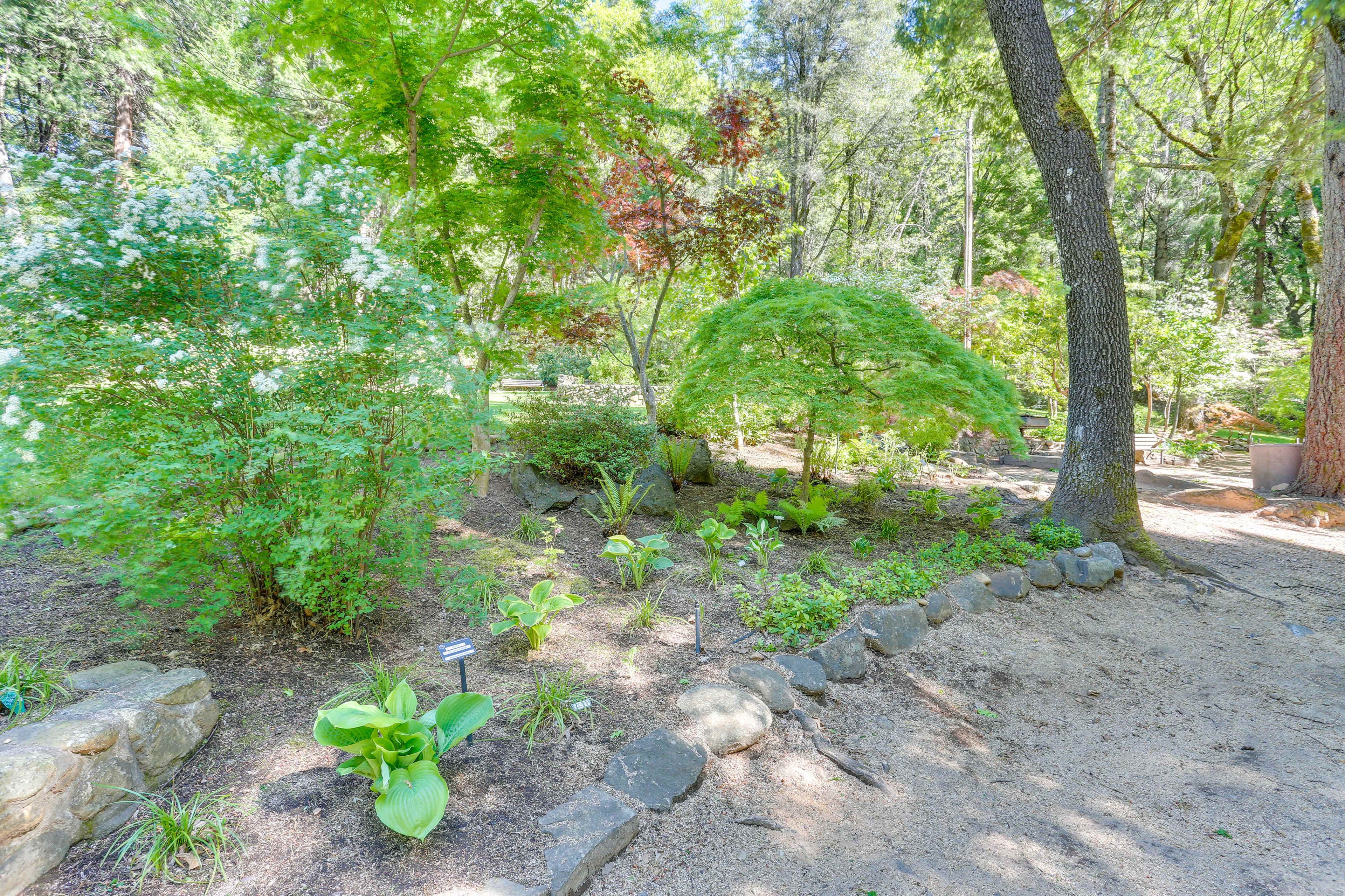 Spacious Yard | Garden