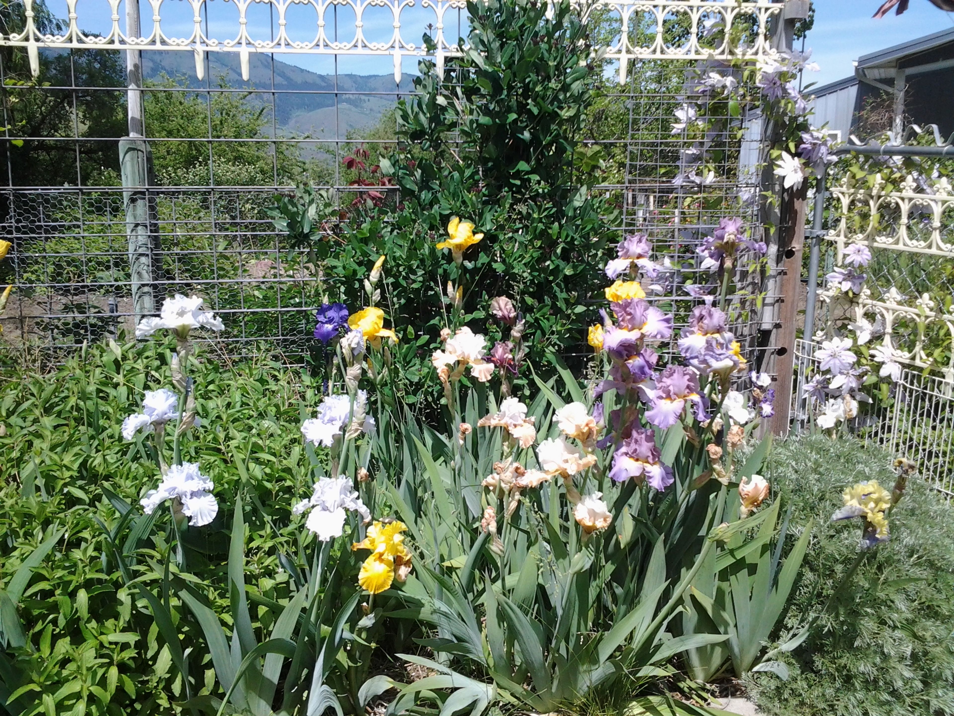 Relax at home and enjoy the beautiful landscaping.