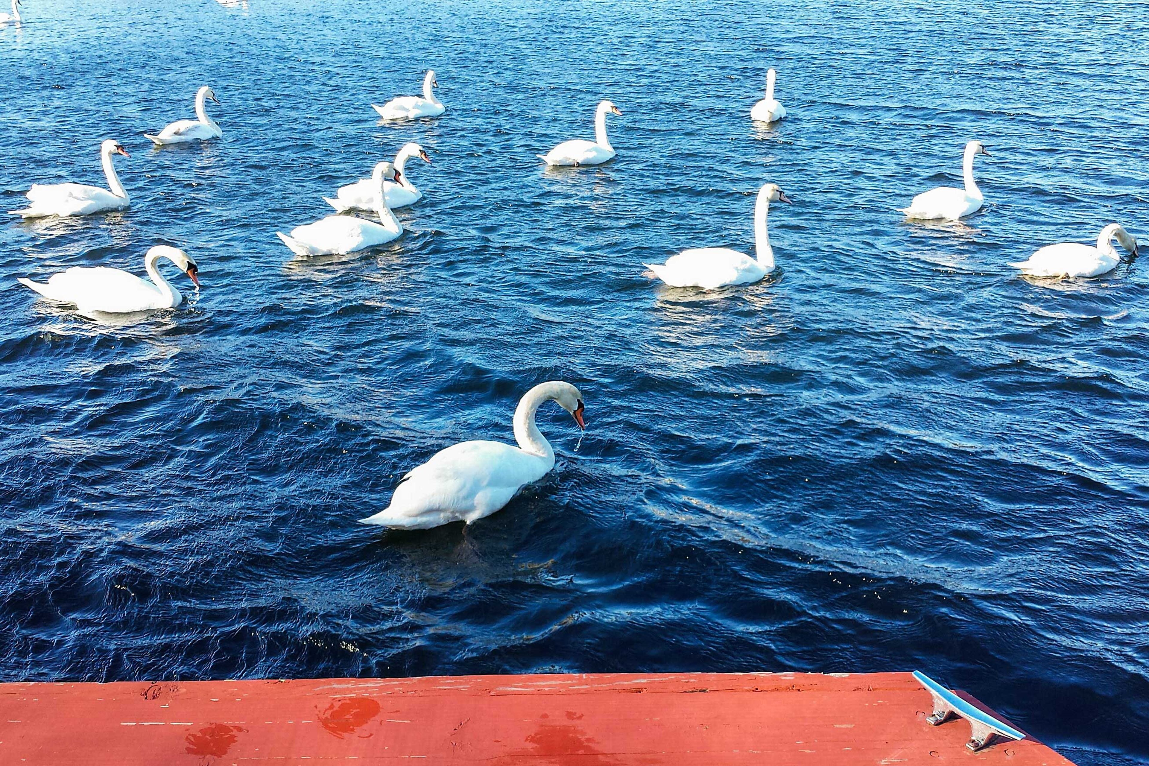Lake Access