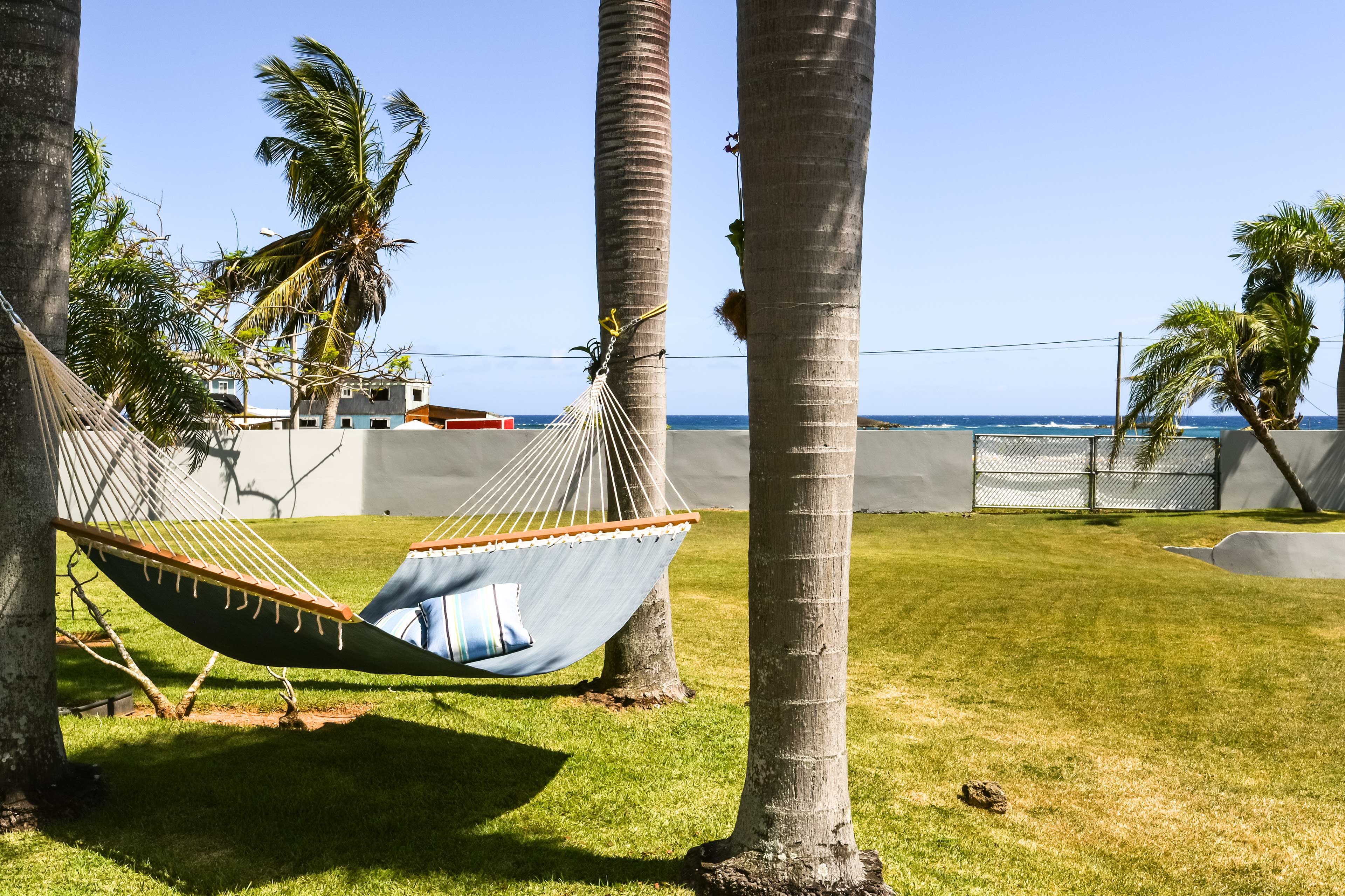 Hammock