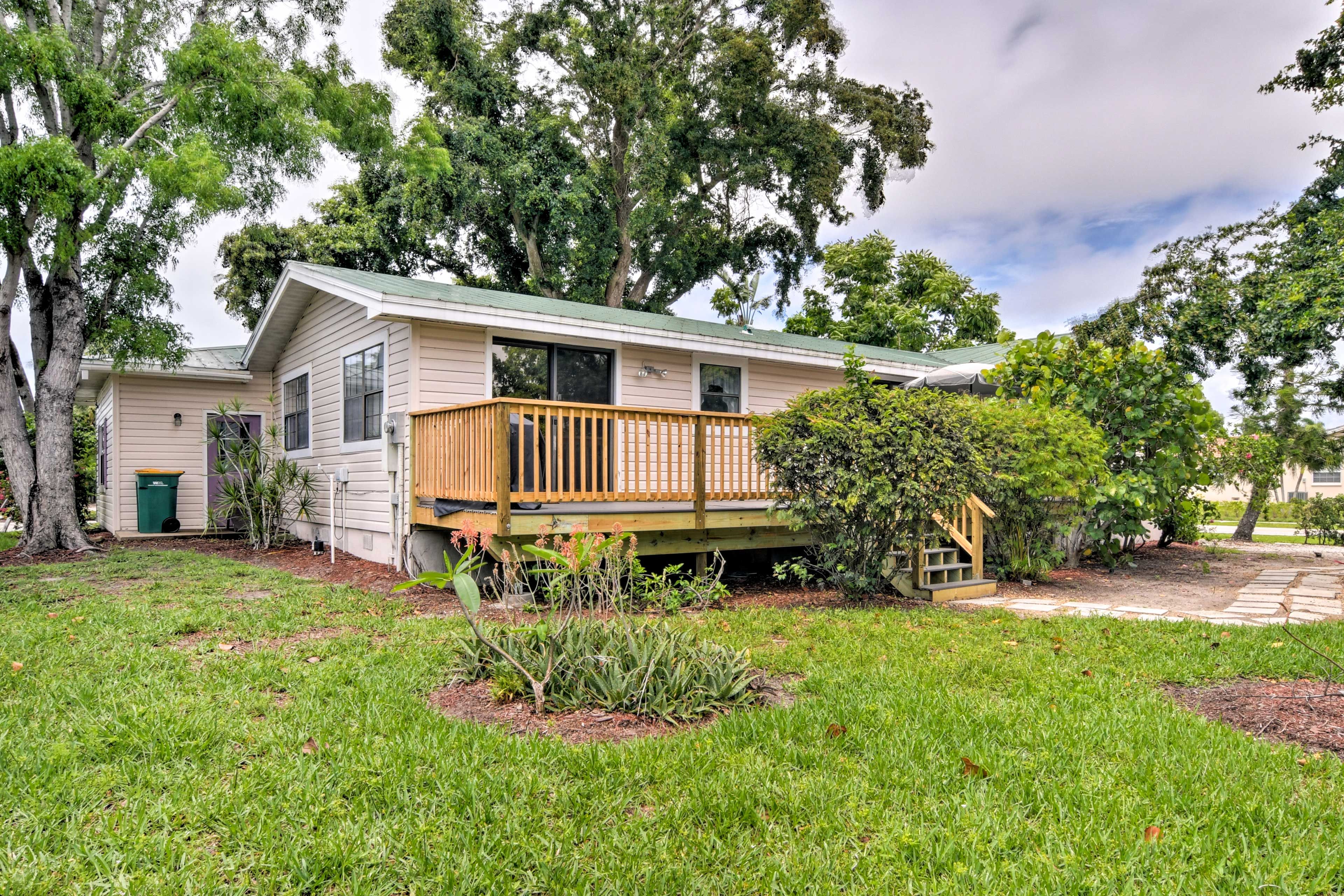 Admire the lush tropical foliage of Marco Island!