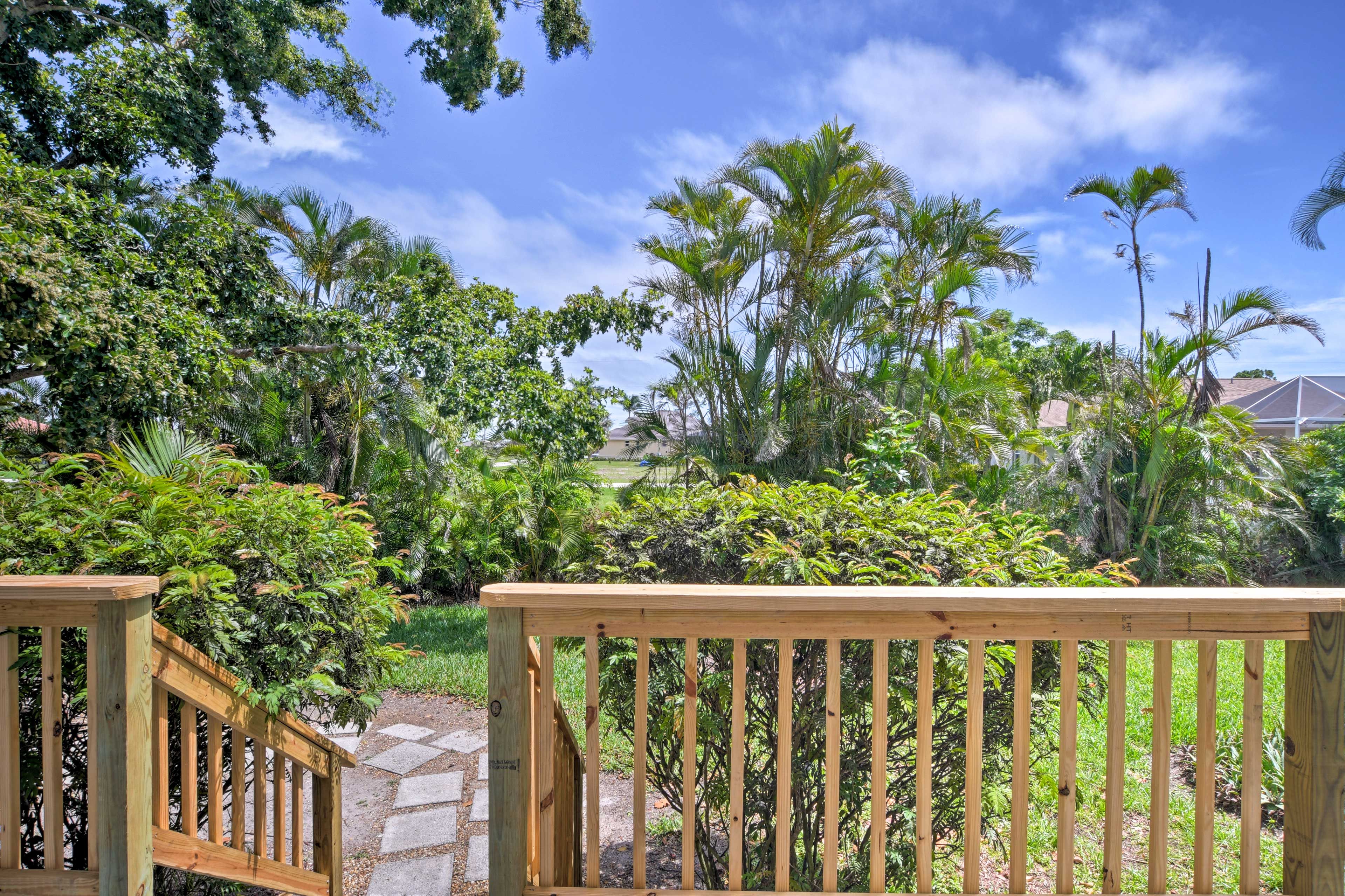 The lush foliage is truly beautiful.