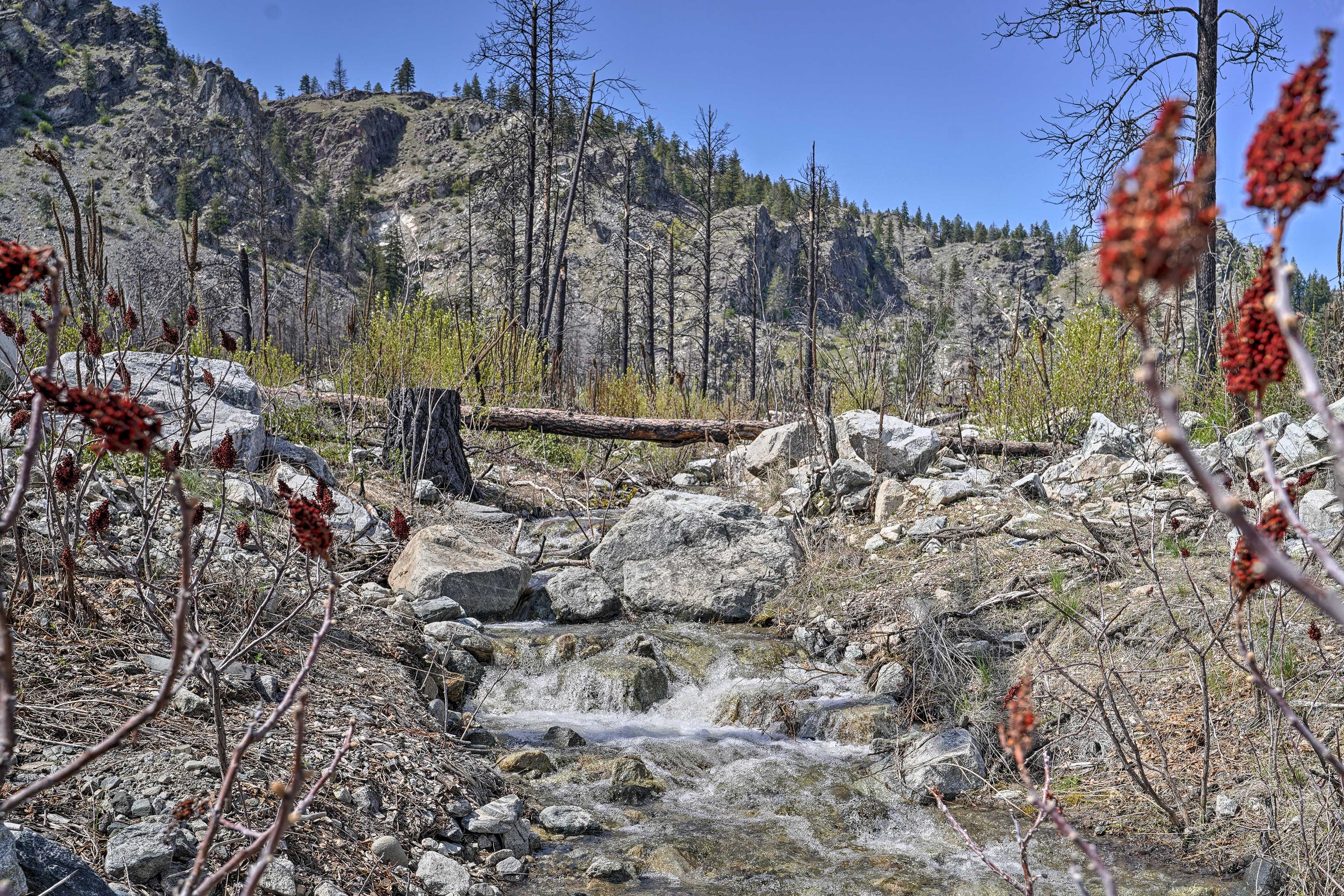 There are miles of trails to explore and waterfalls to be discovered!