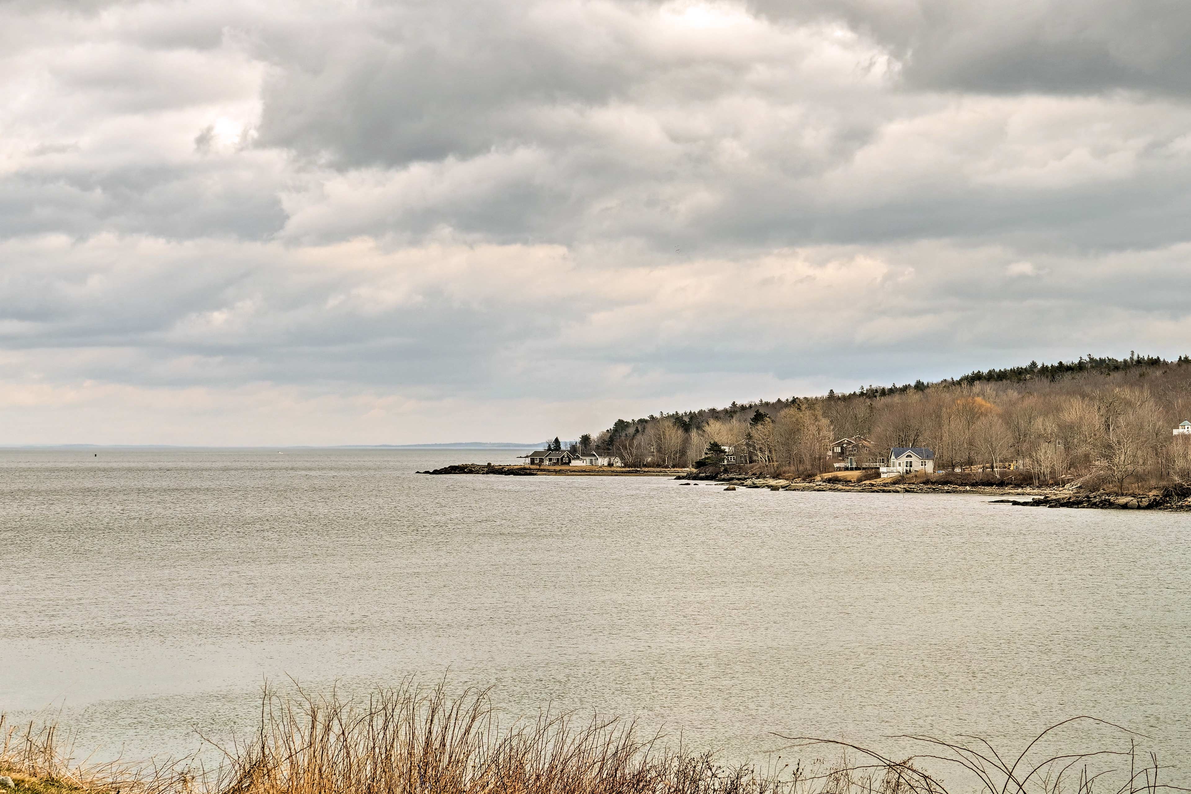 Owls Head Coast