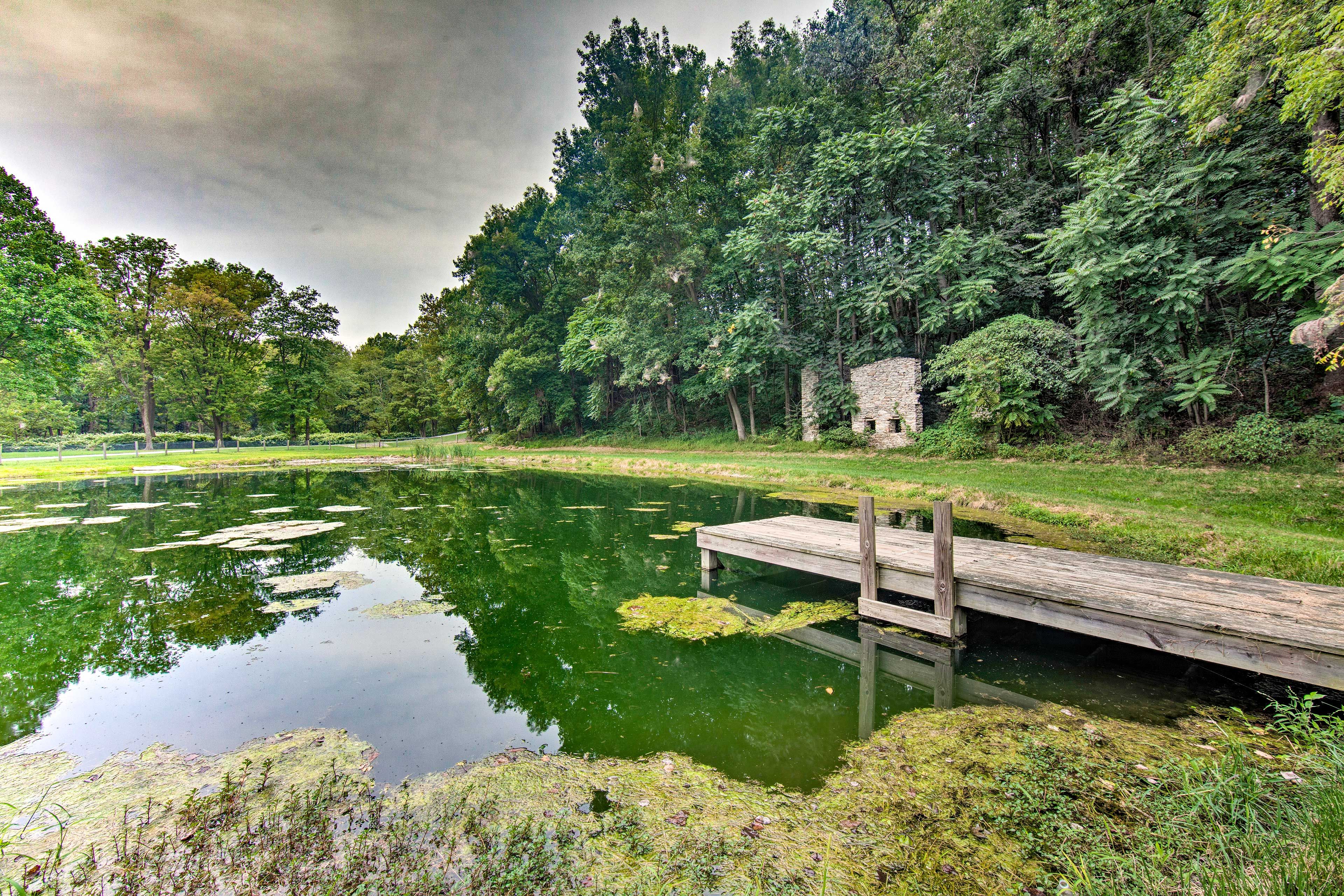 Pond