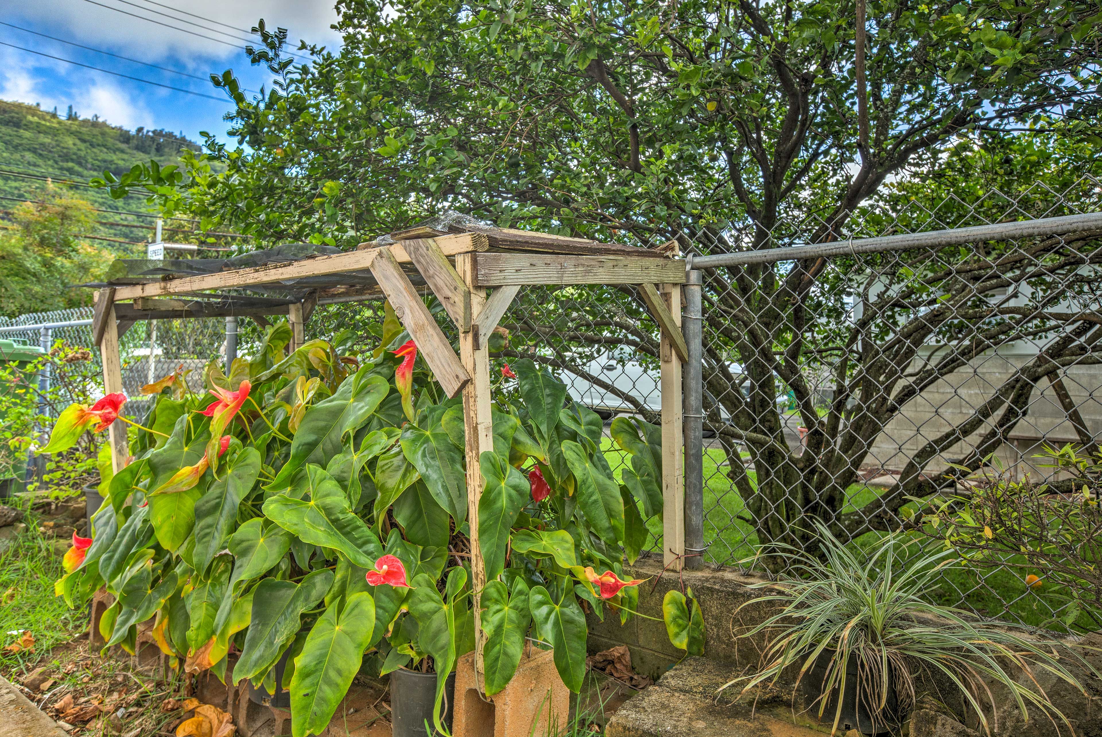 You'll love the tropical plantings throughout the area.