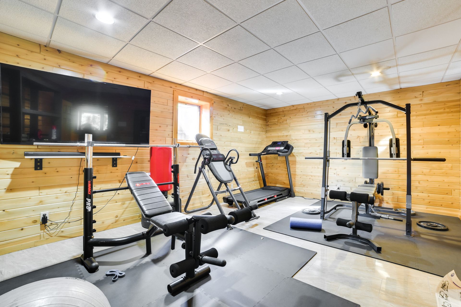 Home gym — lower level