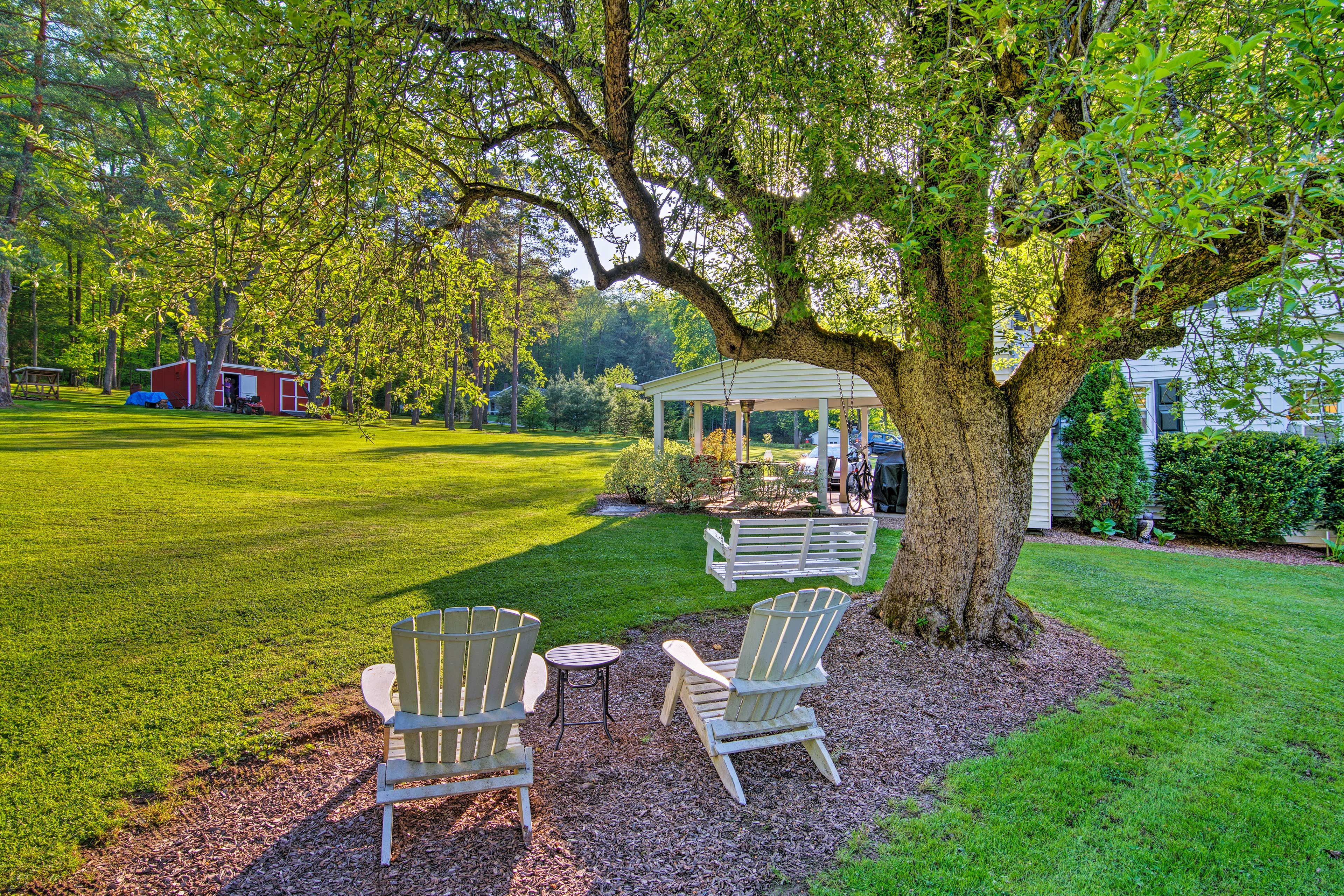 Wooded Backyard