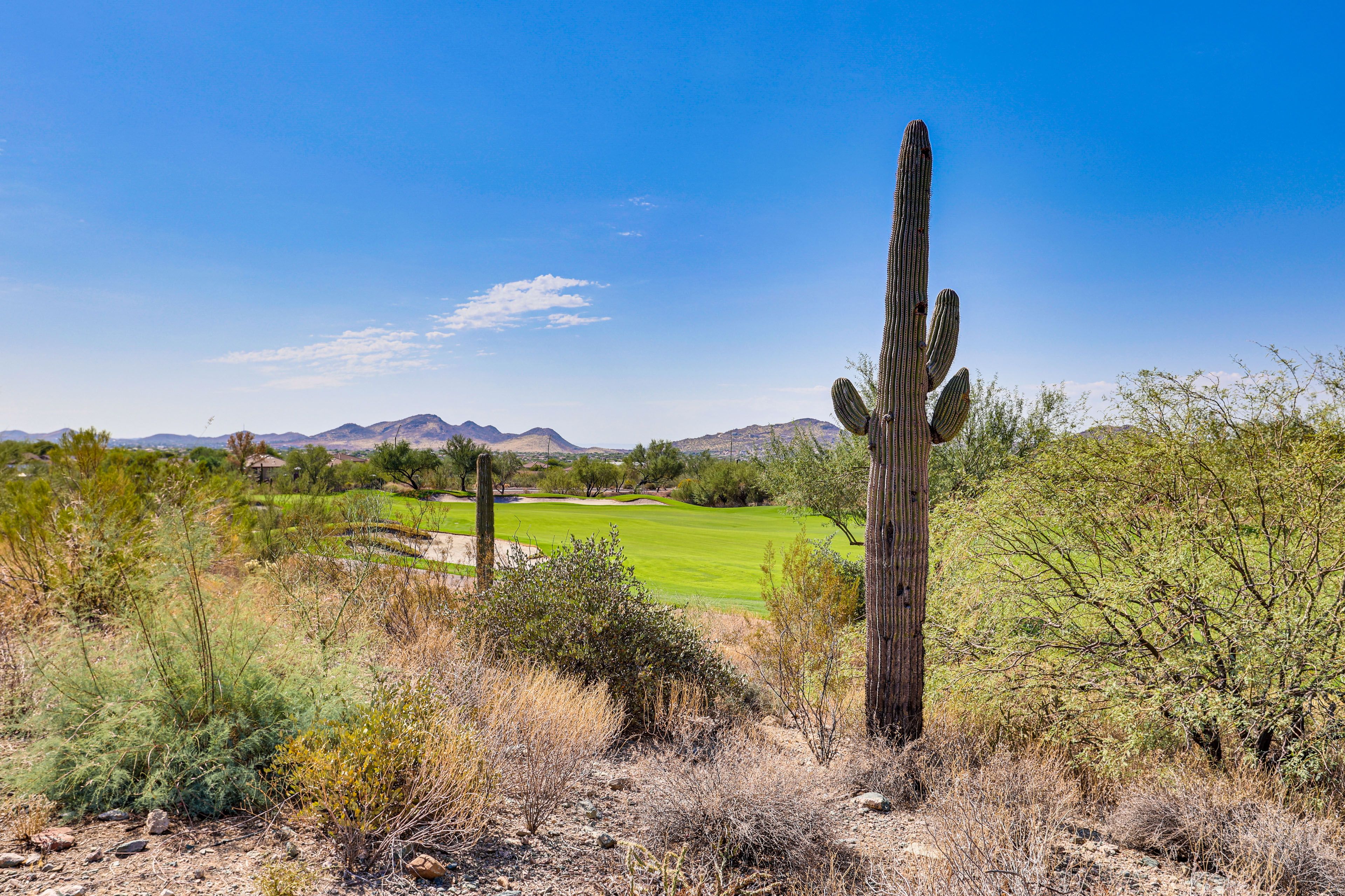 Nearby Golf Course