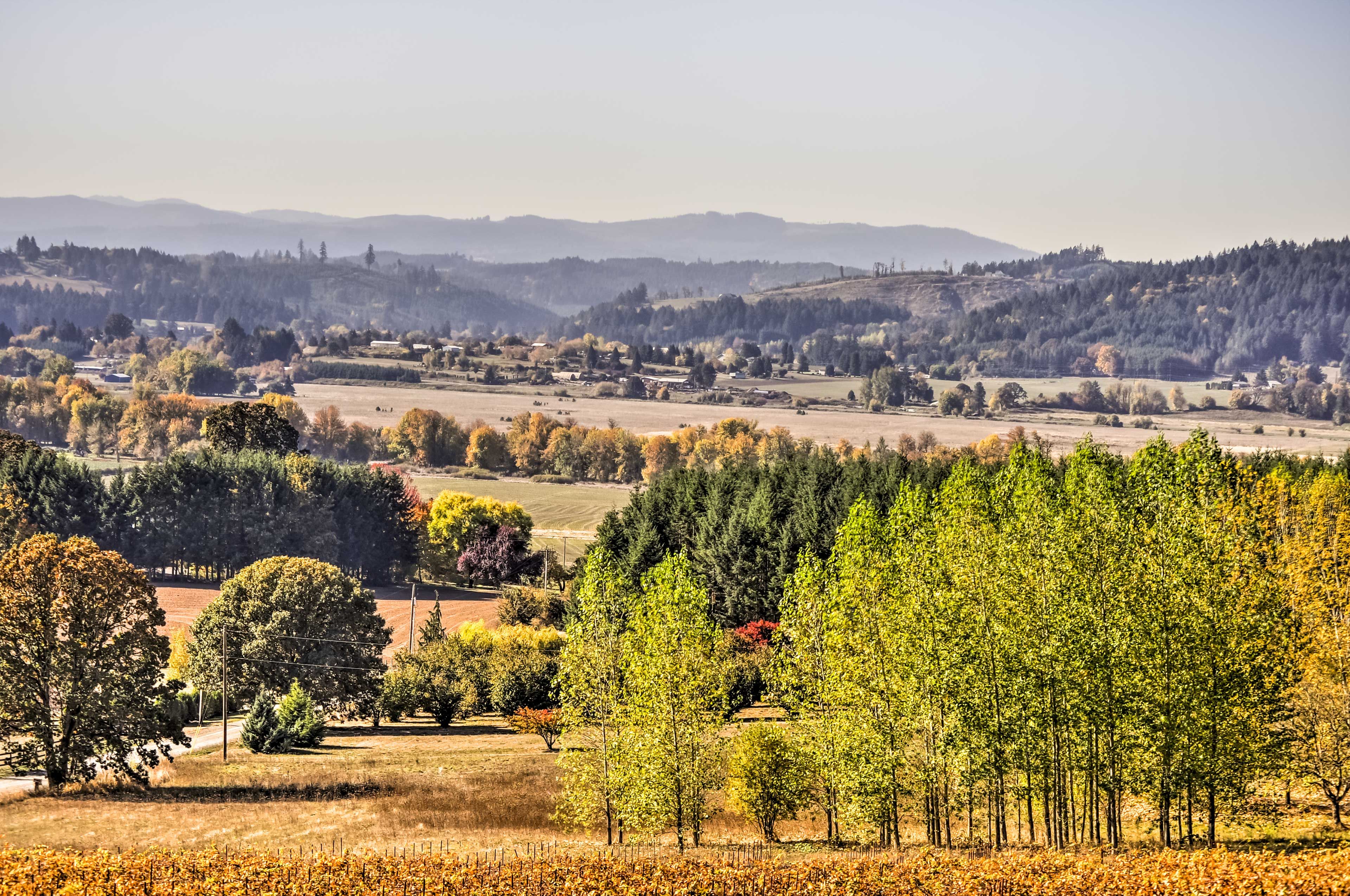 Exterior | Vineyard Views