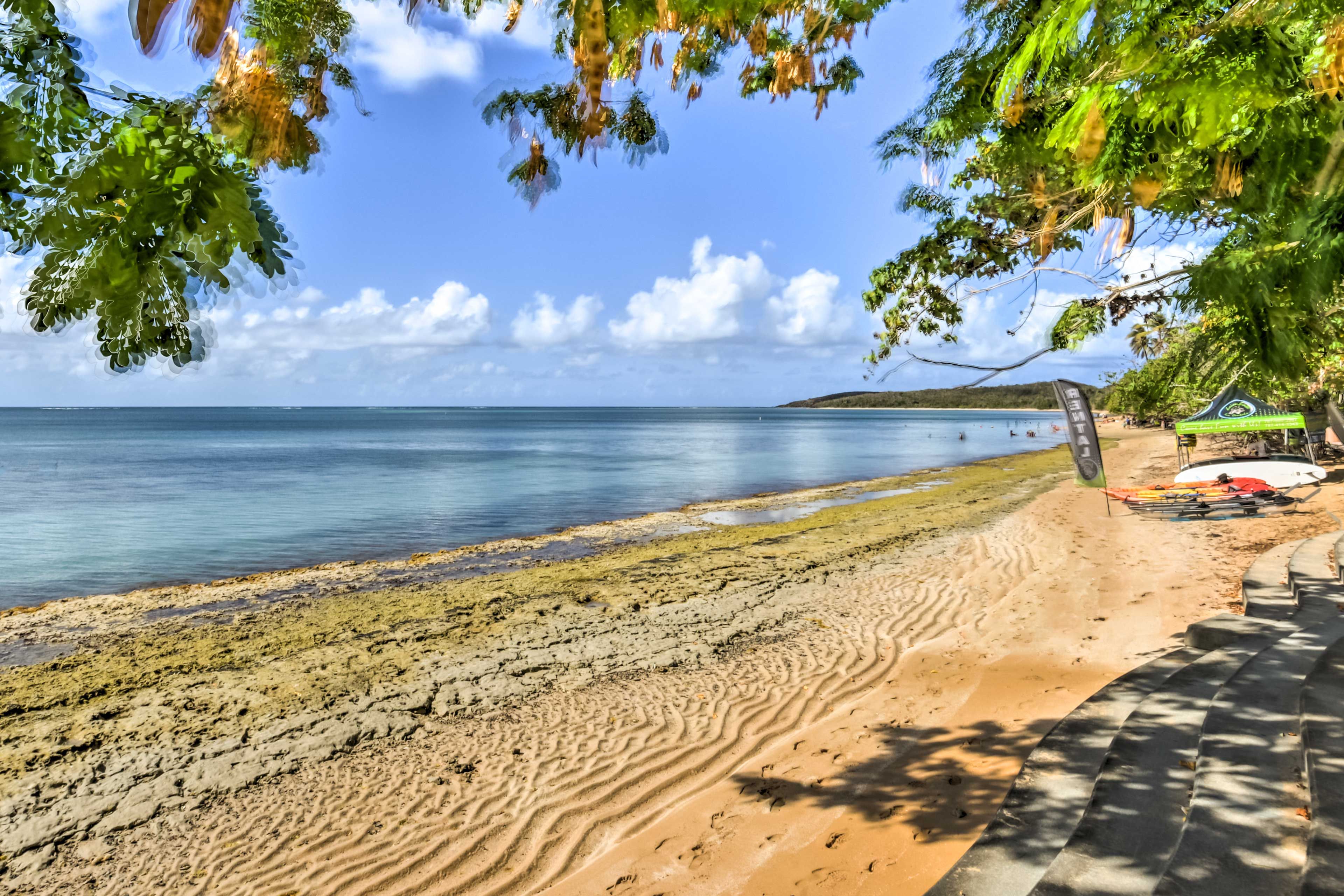 Beach