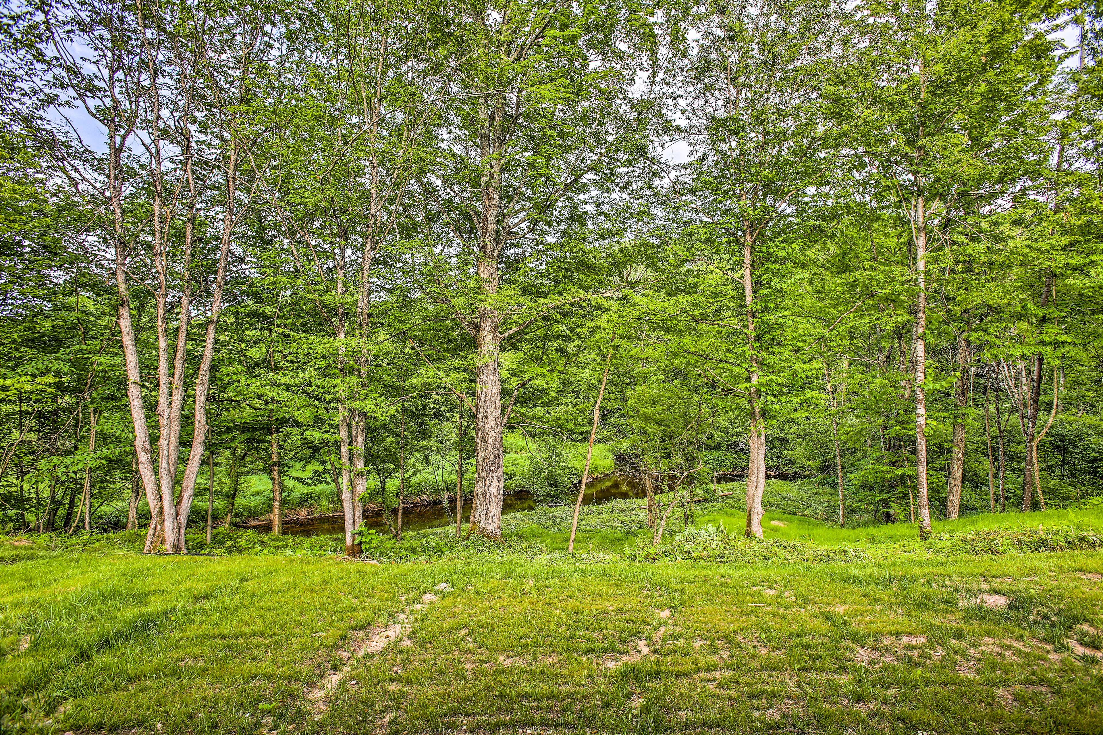 Step outside and walk down to the creek running through the property.